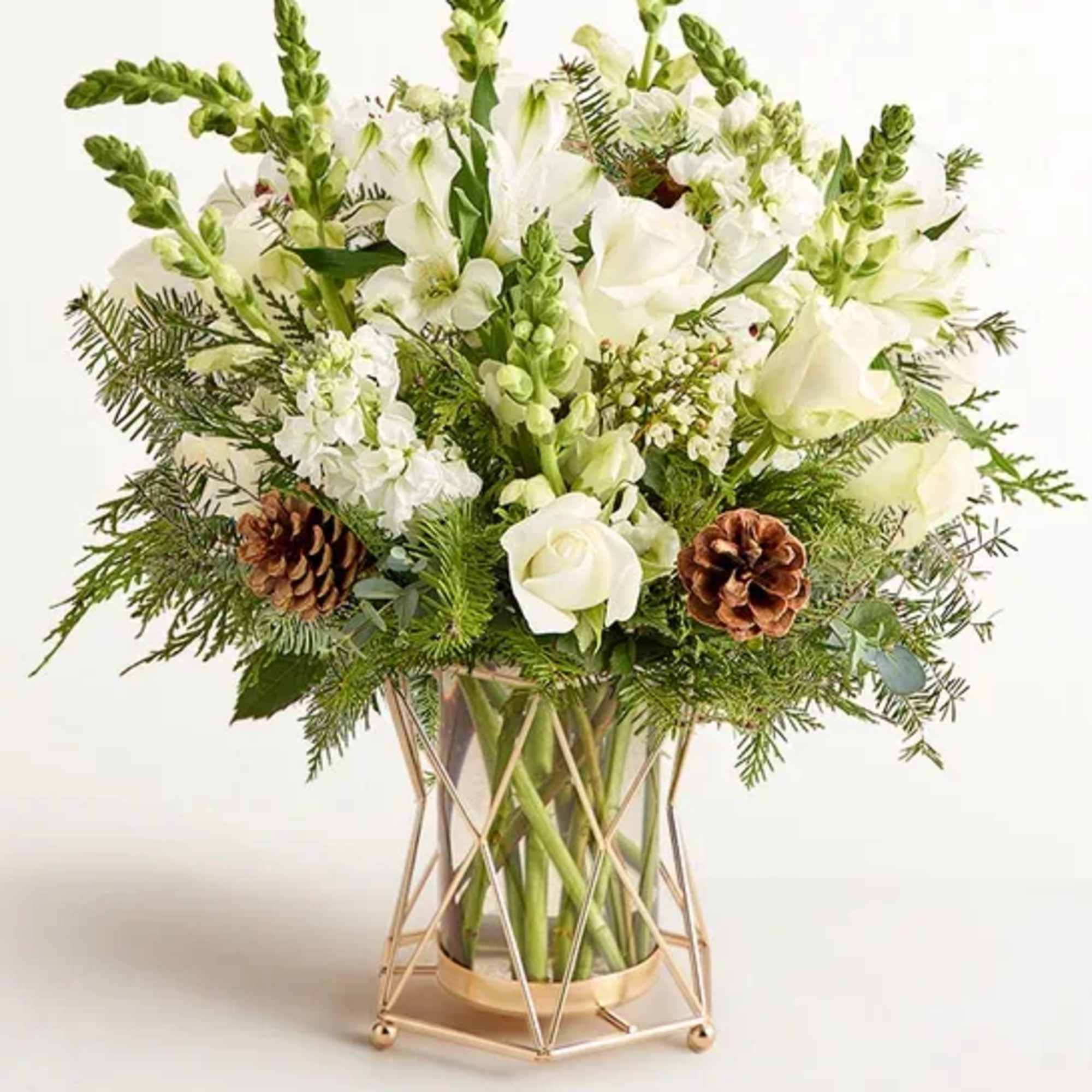 As fresh and vivid as a field blanketed with newly fallen snow