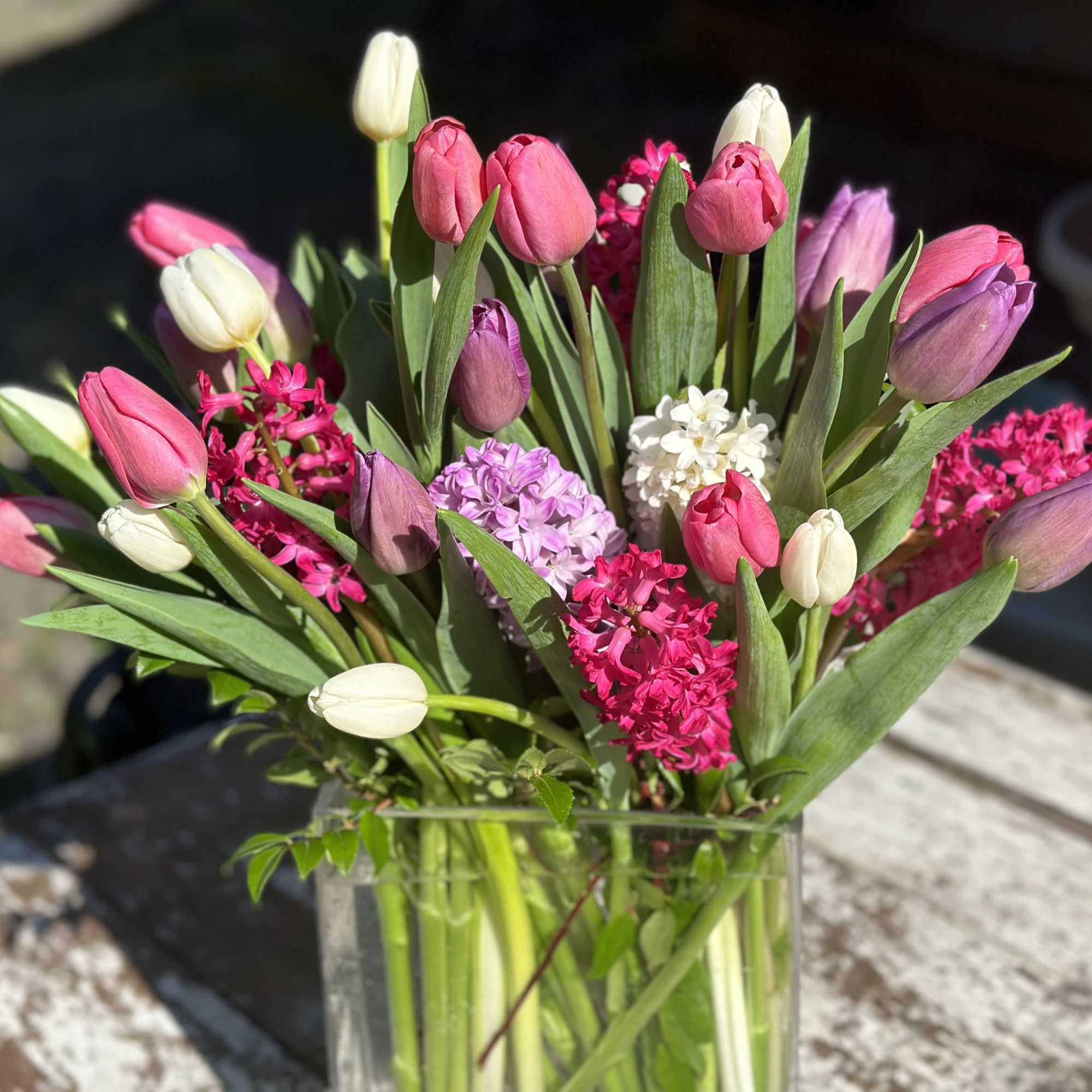 Send a selection of 2 dozen tulips to somebody you have unconditional