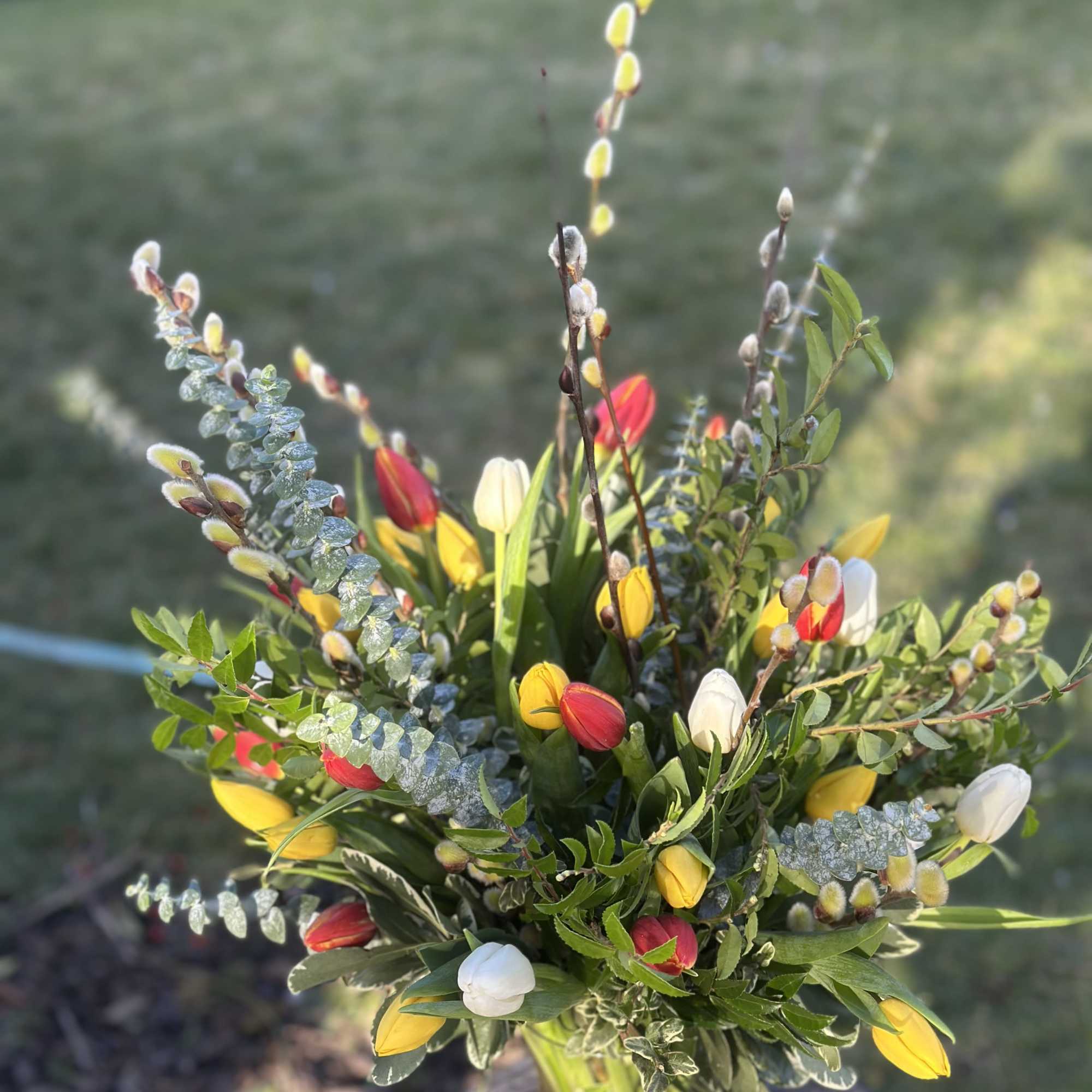 Send a selection of 2 dozen tulips to somebody you have unconditional