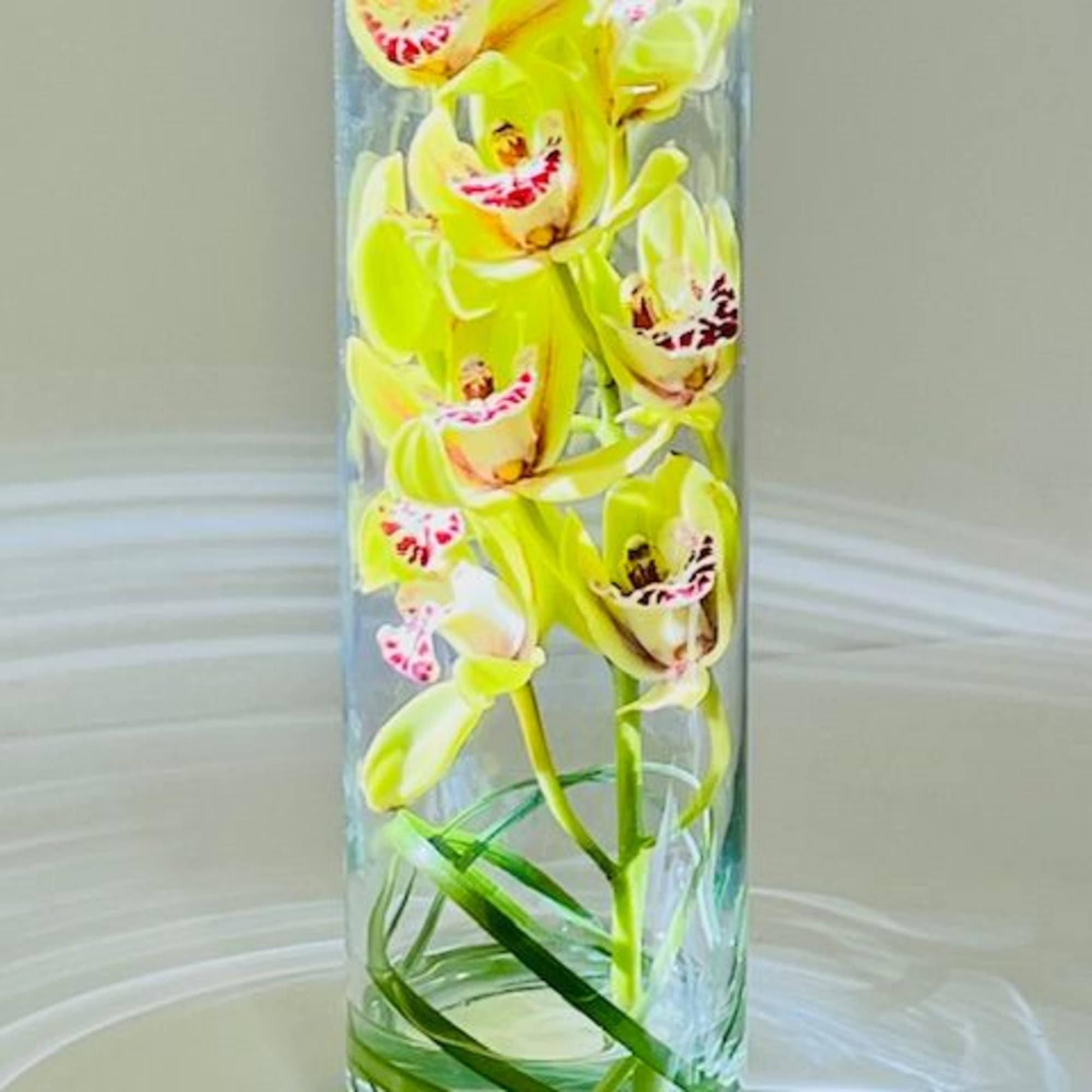 A modern and simplistic arrangement with exotic green cymbidium orchids in a