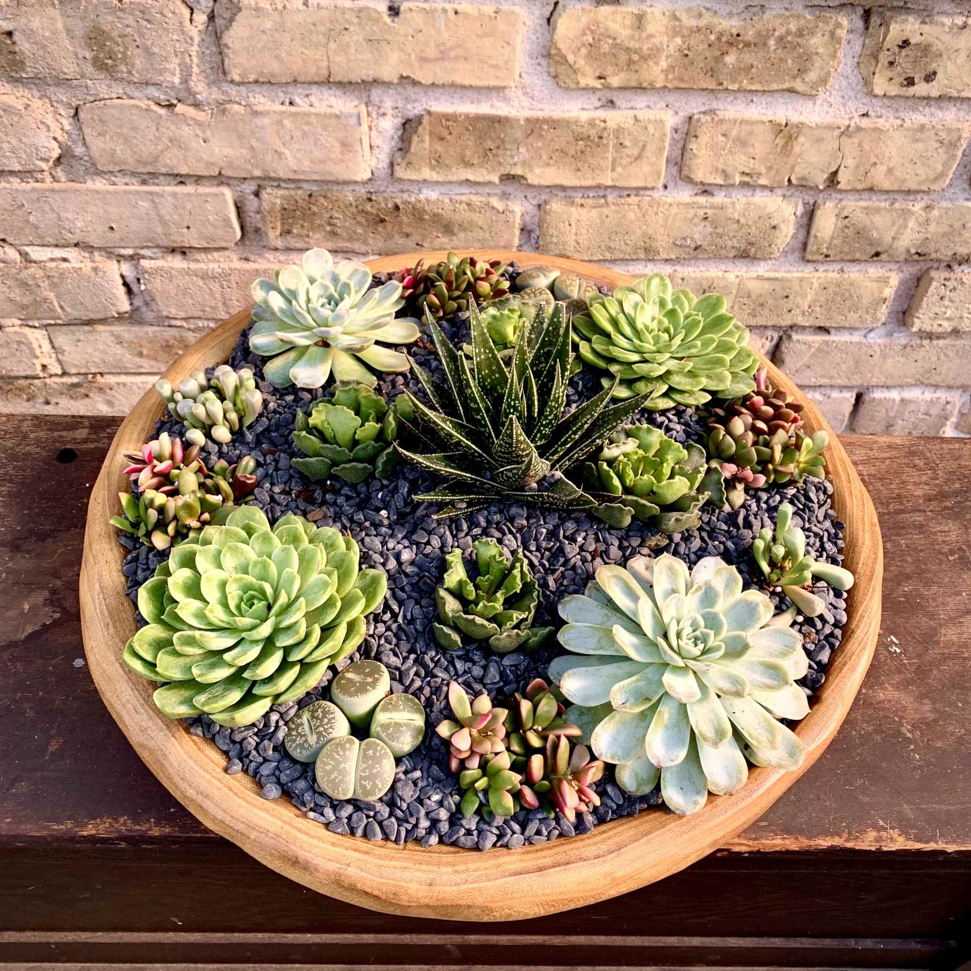 Let The Sun Shine in on This Beautiful Succulent Garden Designed 
in
