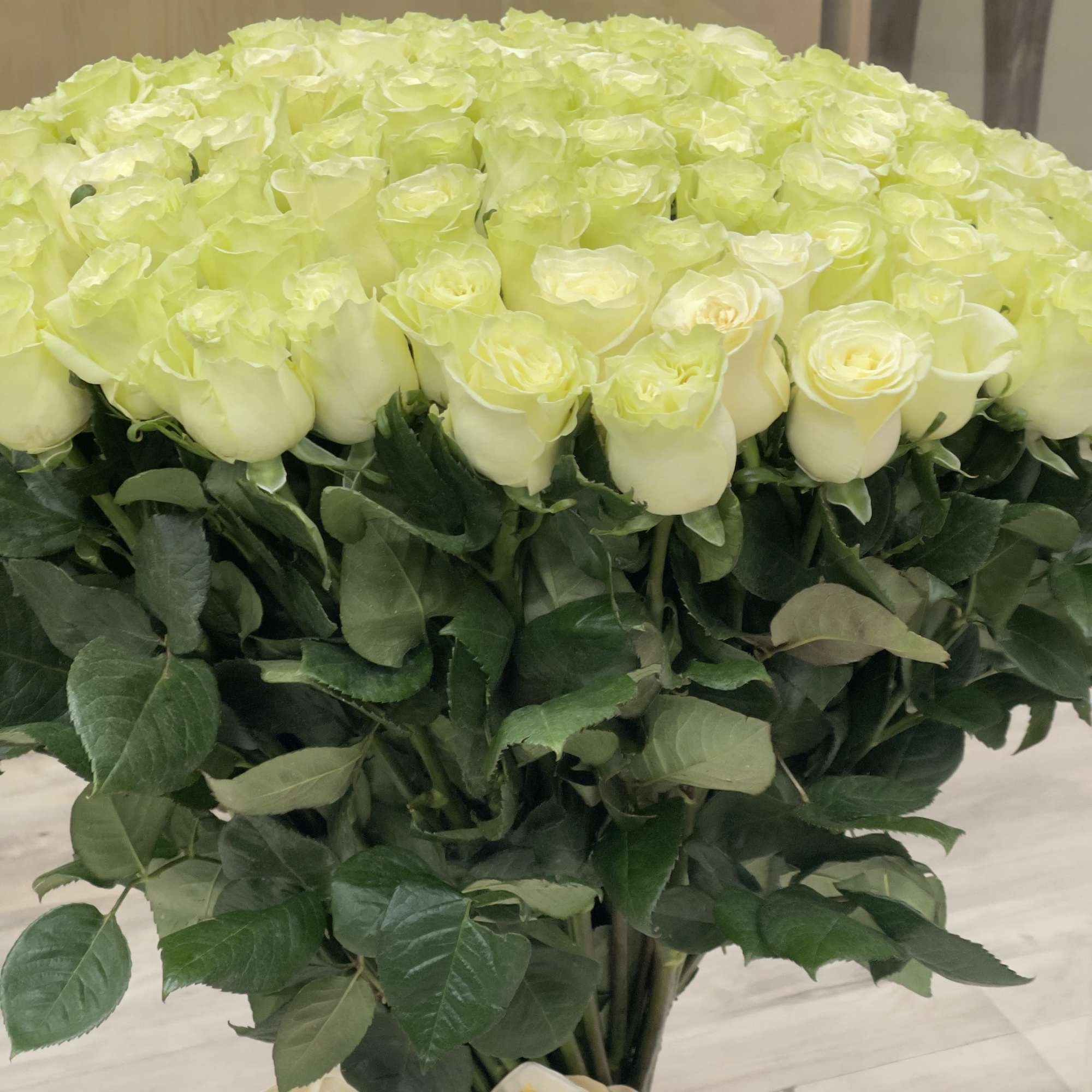 A breathtaking bouquet of 150 fresh white roses, beautifully hand-tied with lush