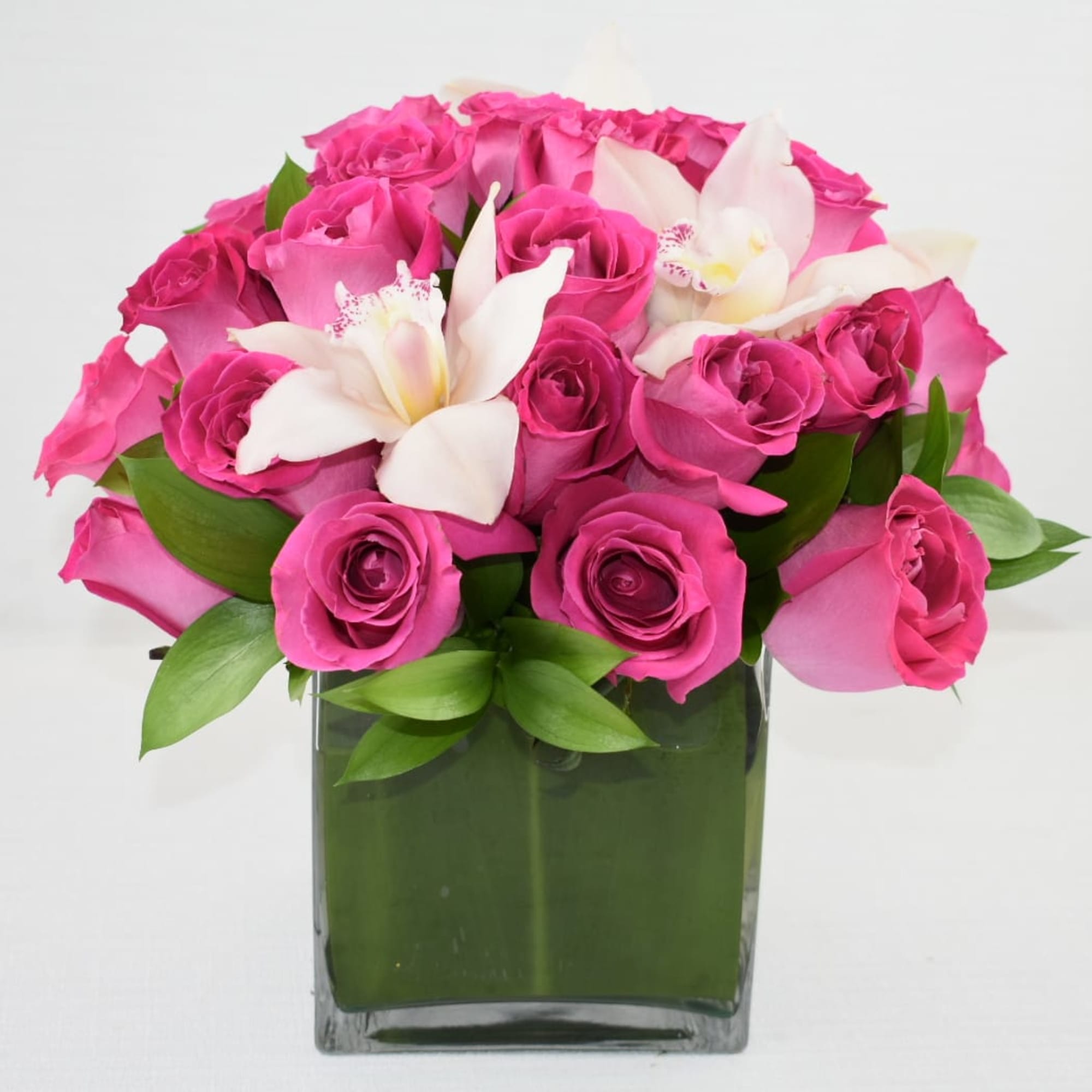 This lovely arrangement comes in a square Vase 6x6 
with 4 dozen