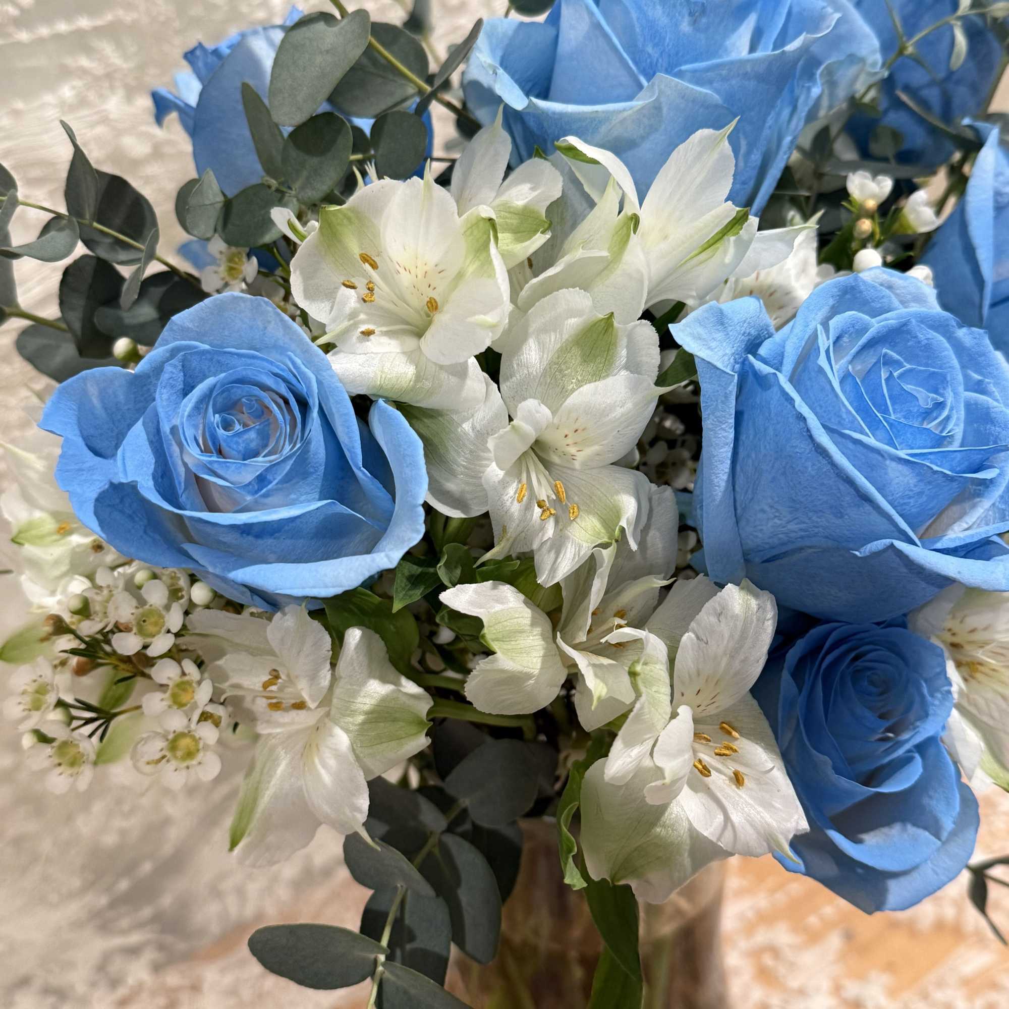 Dozen baby blue roses with Alstroemeria and wax flower 