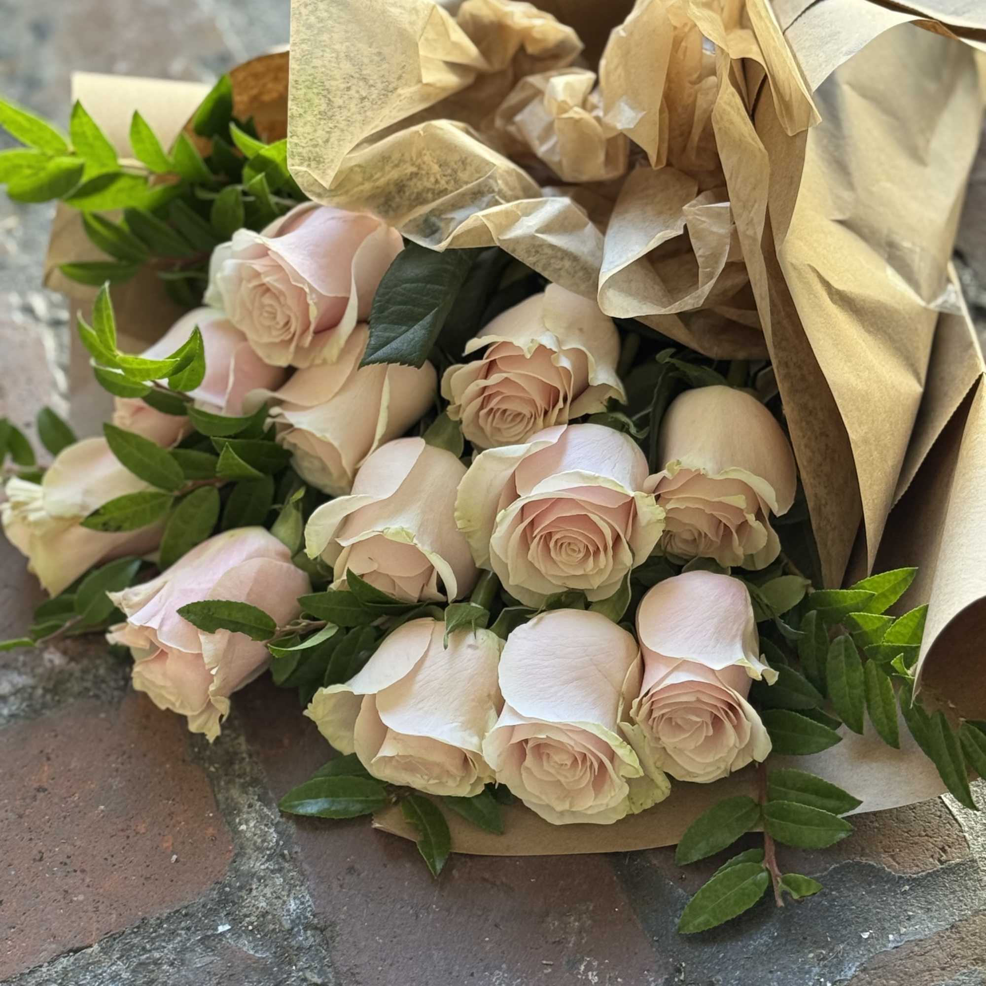 Fresh pink roses paper wrapped with a bow!
Select DELUXE for two dozen