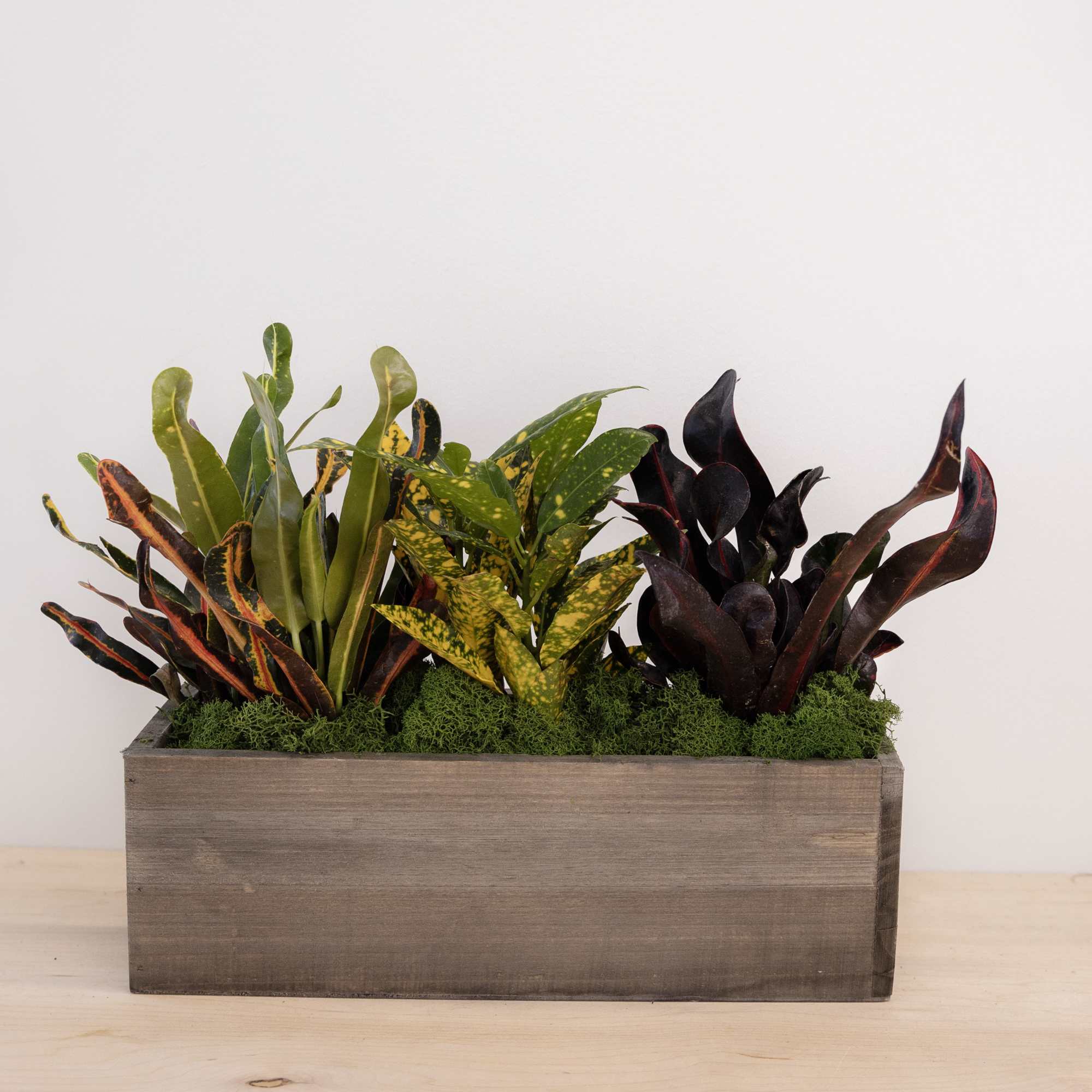 Mixed plant box - hardy potted plants in wooden crates - bedded