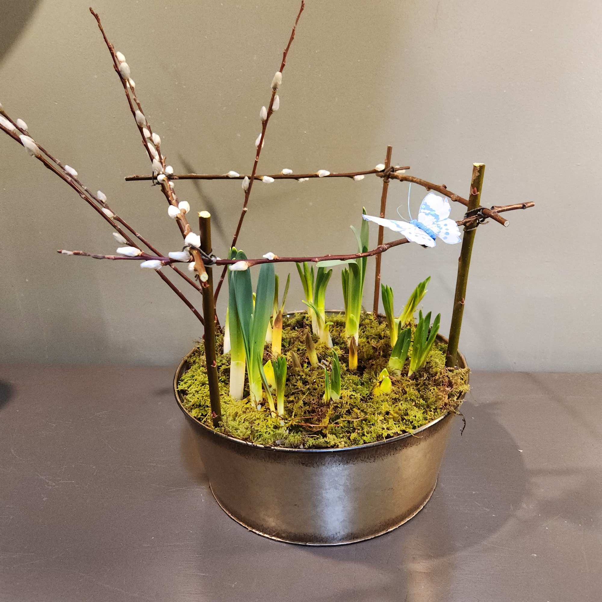 The PERFECT gift to cure the winter blues!  Enjoy this long-lasting