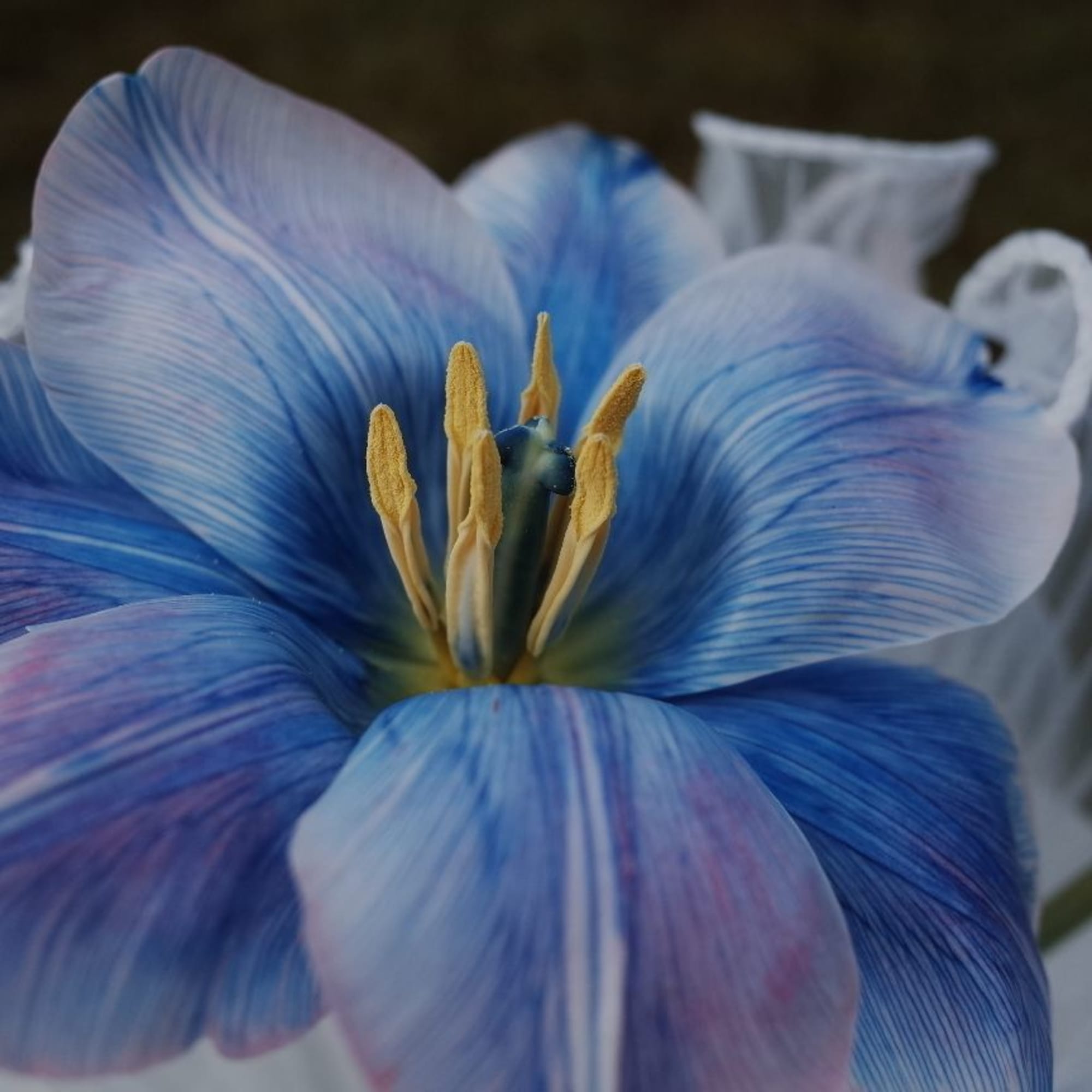 A little bouquet with a big heart.  
This charming arrangement features