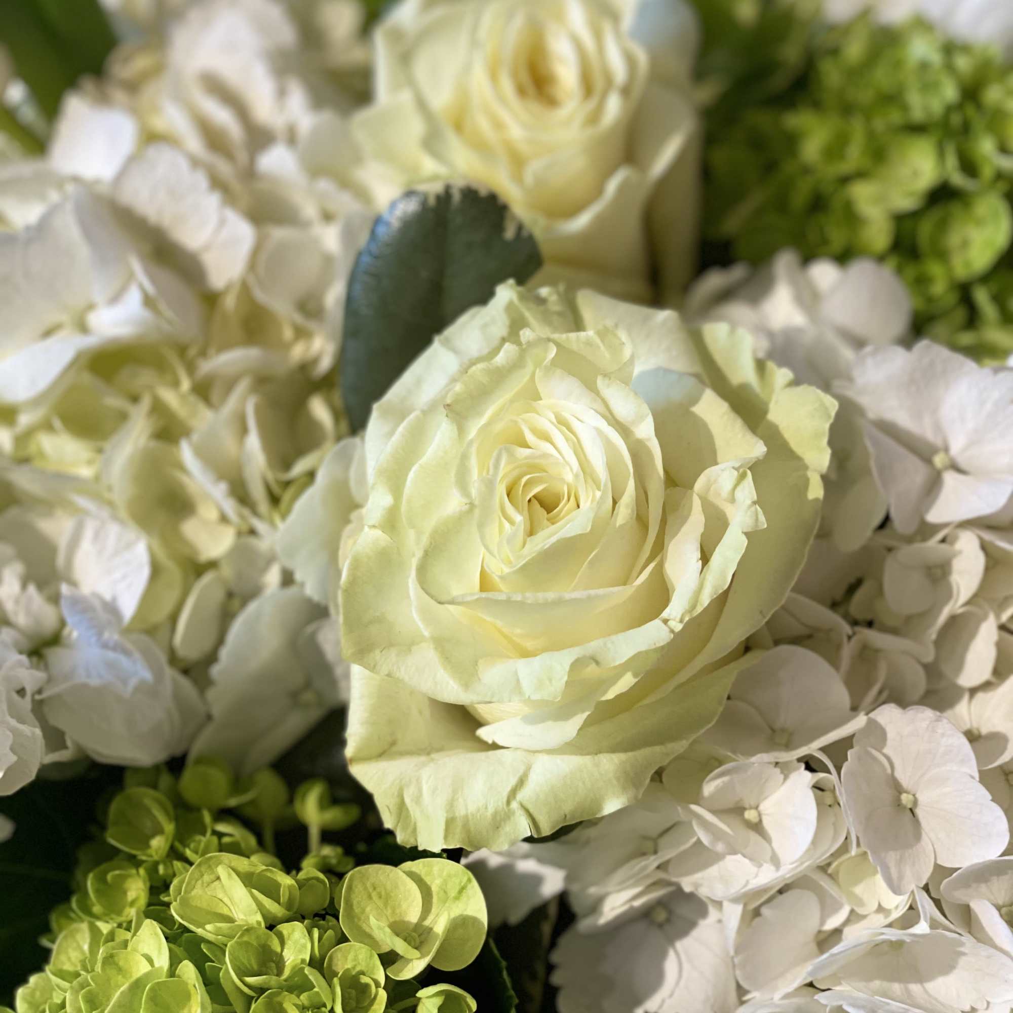 Stunning style is captured with a compact design of all white flowers