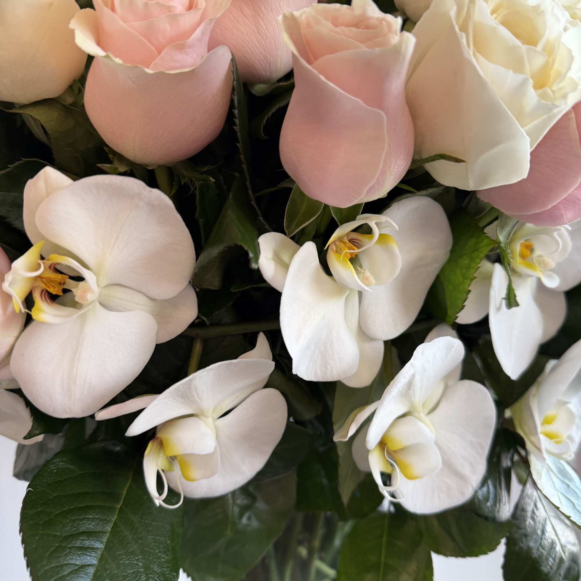 Luxury vase with a favorite touch of pink and white roses, perfectly