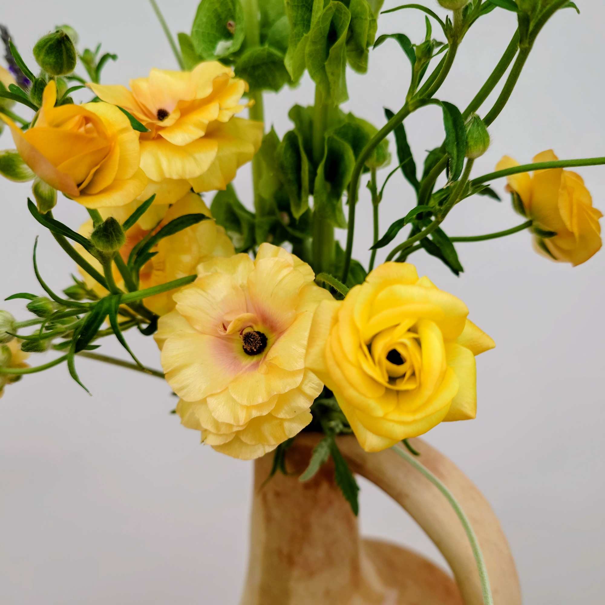 A sculptural floral arrangement designed in a tall, long-necked clay pitcher, Juno