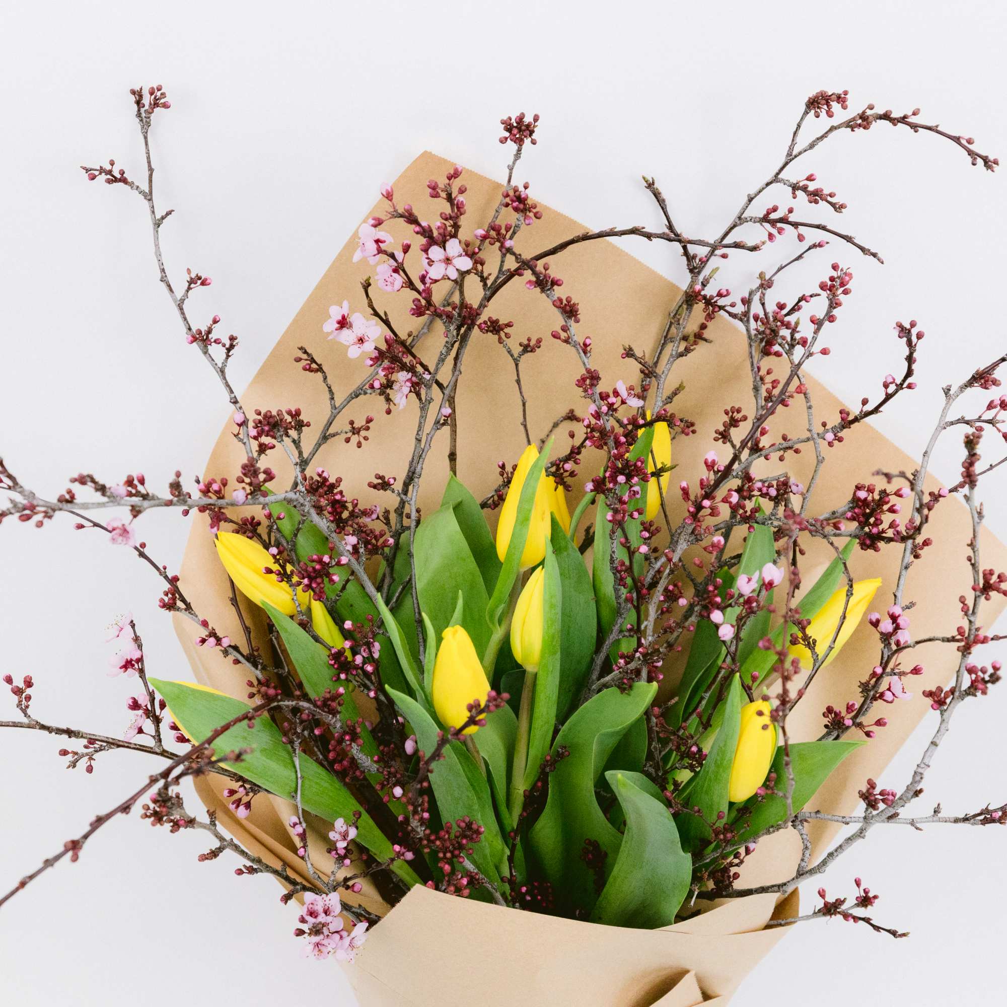 YELLOW, PINK &amp; PURPLE SPRING FLOWER BOUQUET WITH TULIPS AND PLUM BLOOSOMS

Fresh