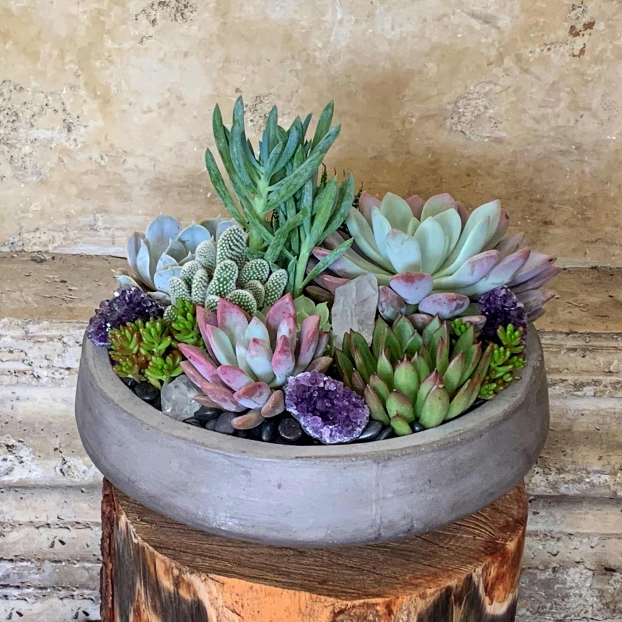 Different type Succulents and nice pieces Amethyst in round cement vase. 13"w