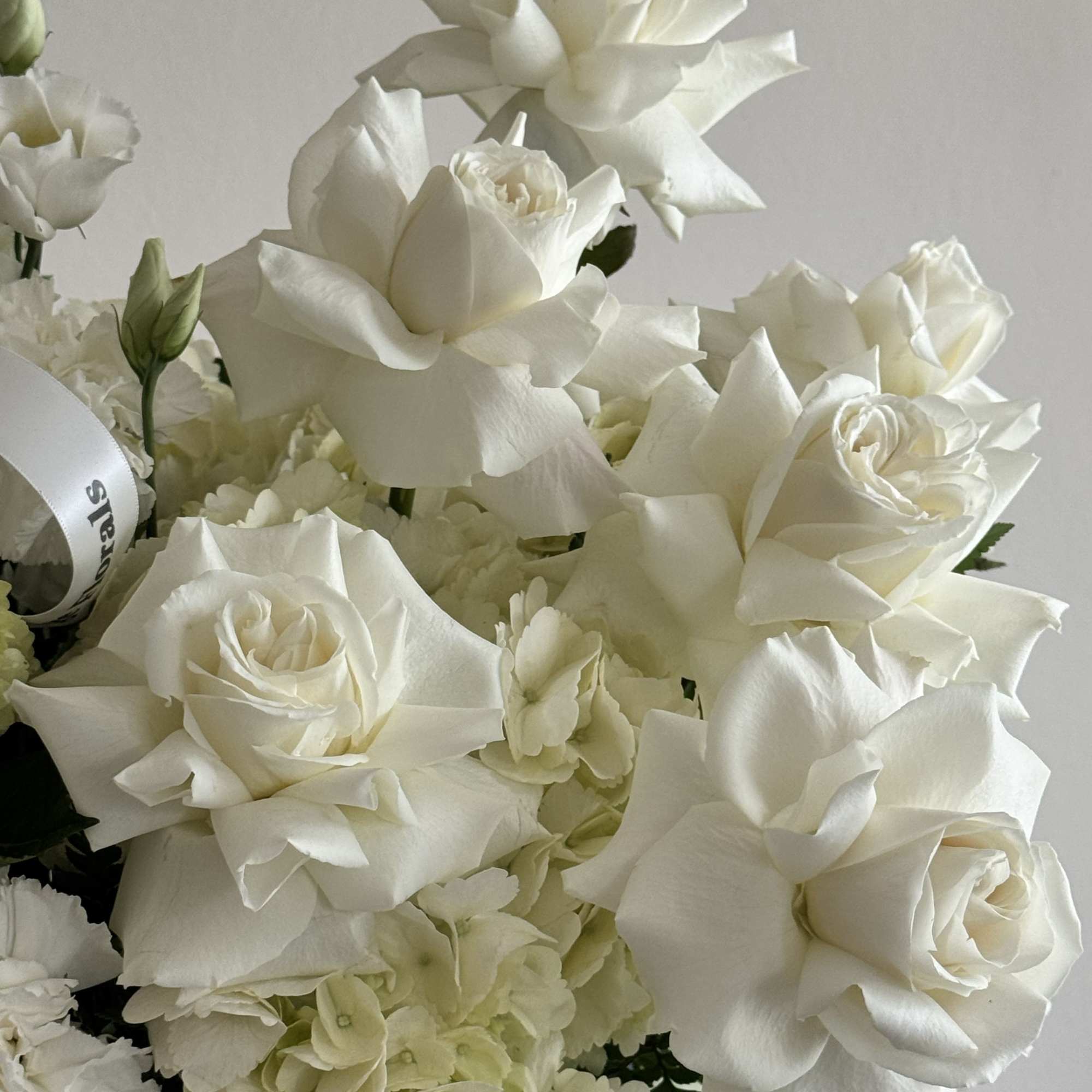A soft, sculptural design in creamy whites and fresh greens. Layered roses
