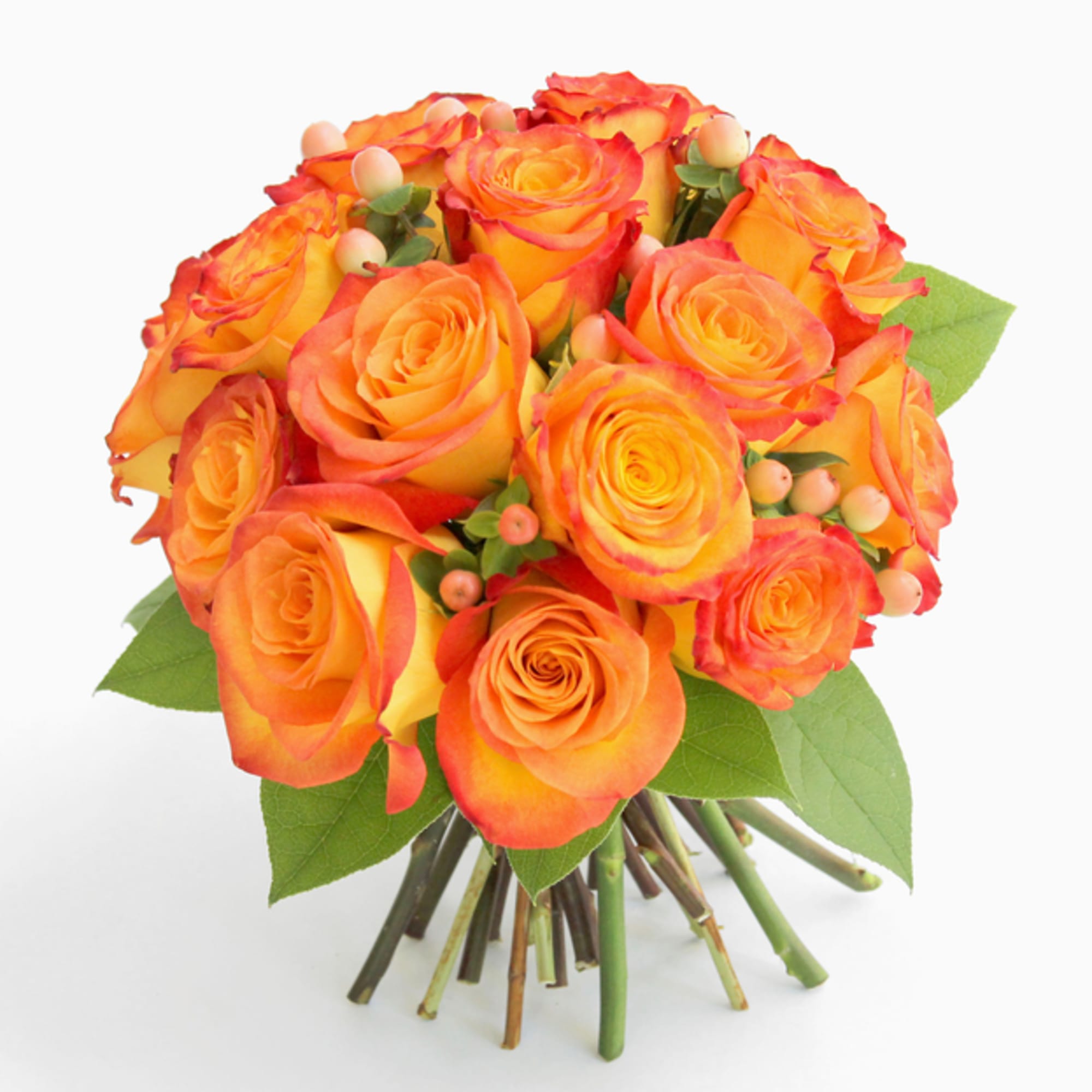As the name implies, Circus roses are sure to bring a smile