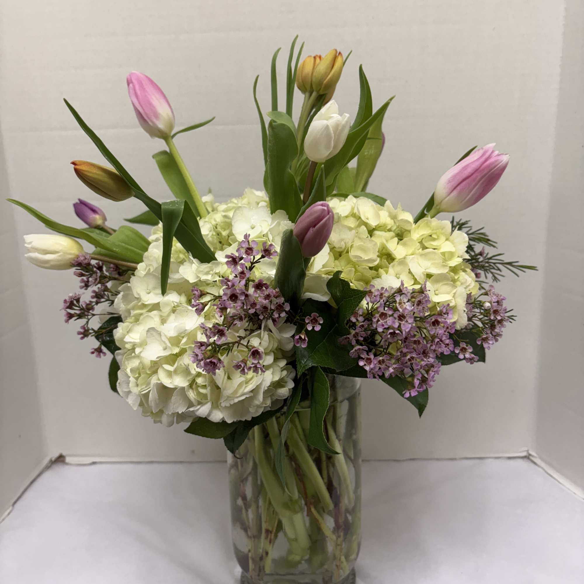 Beautiful tall vase arrangement of hydrangea and a dozen mixed color tulips