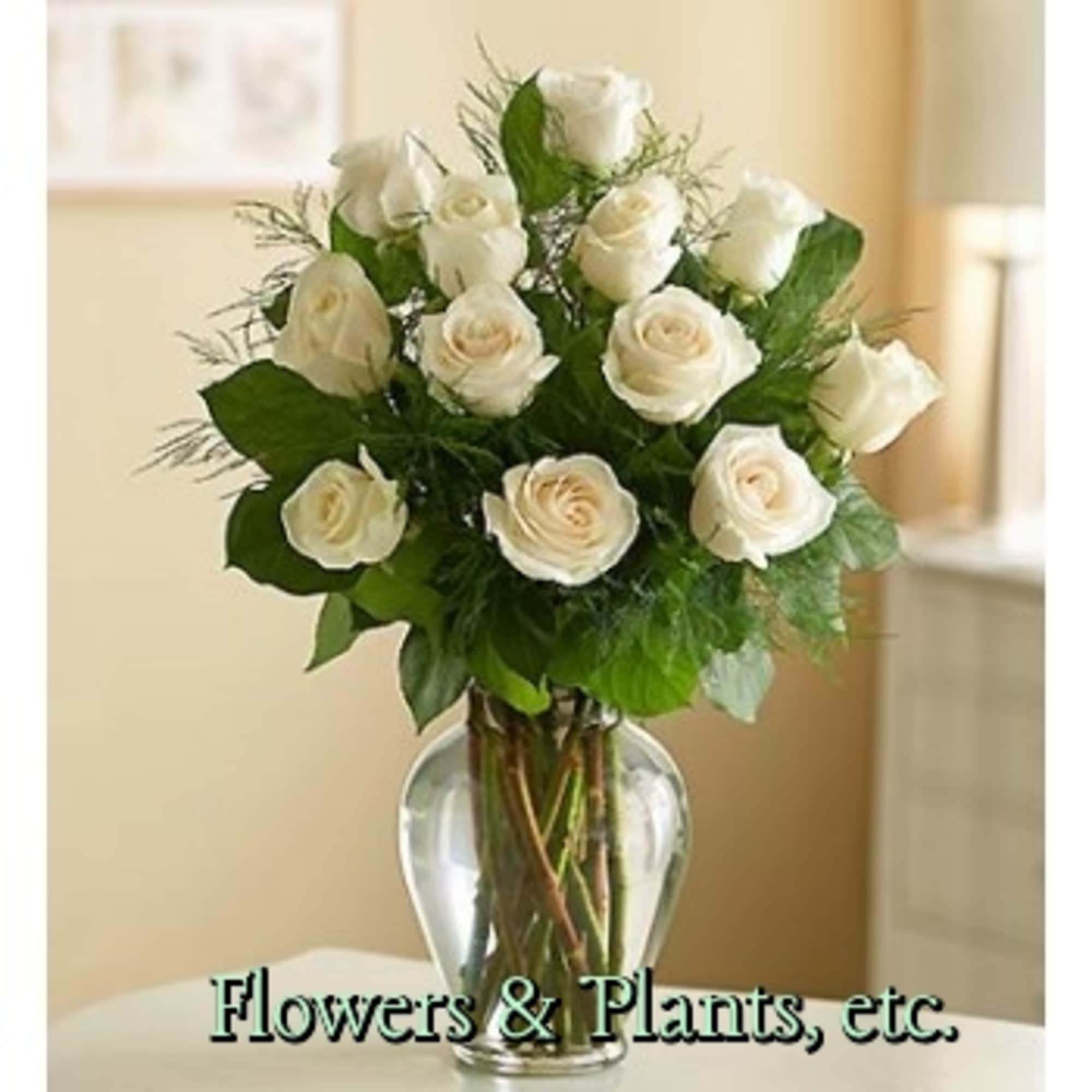 One Dozen Premium White Roses arranged in a clear vase.  Deluxe