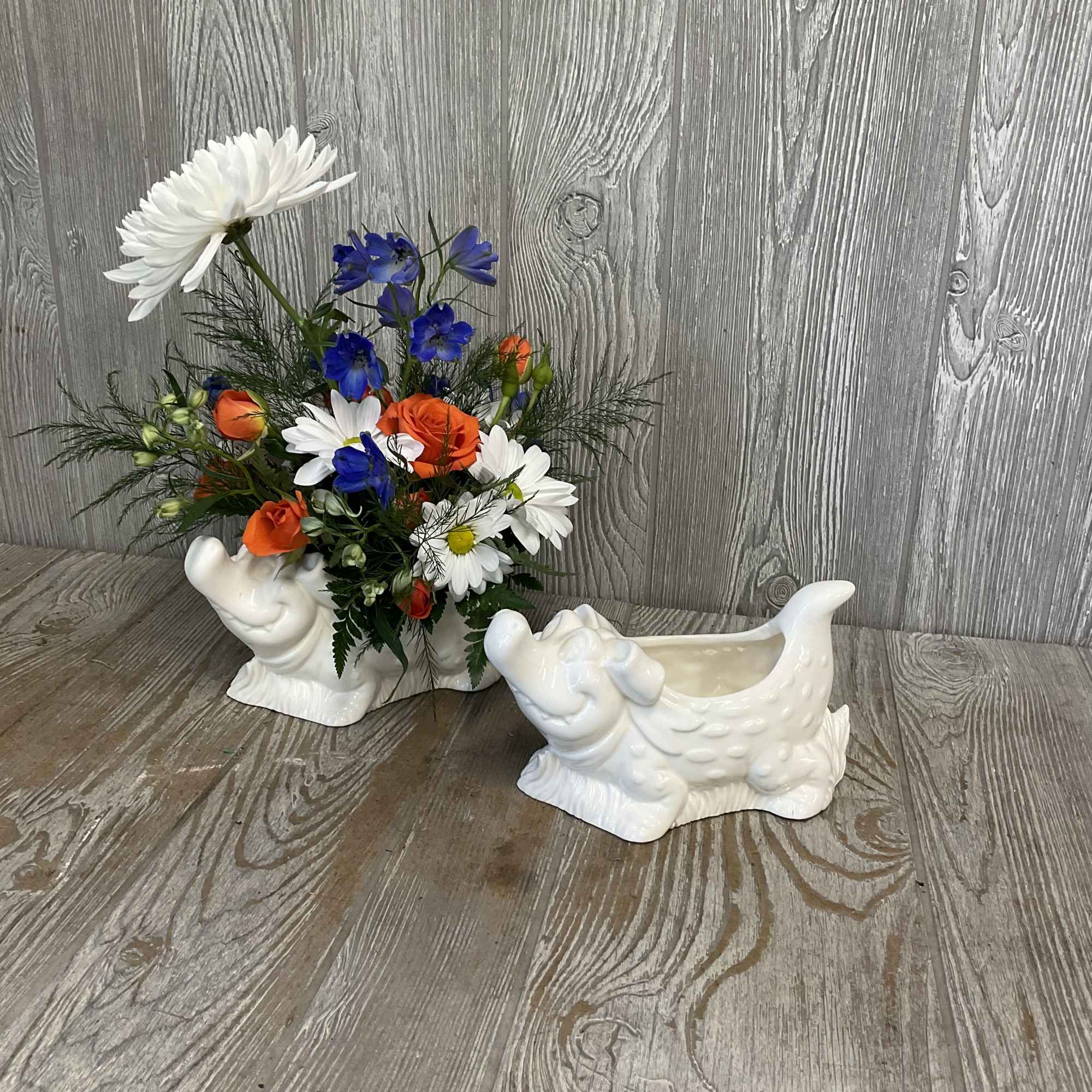 Perfect for your baby gator. Locally made ceramic gator filled with one