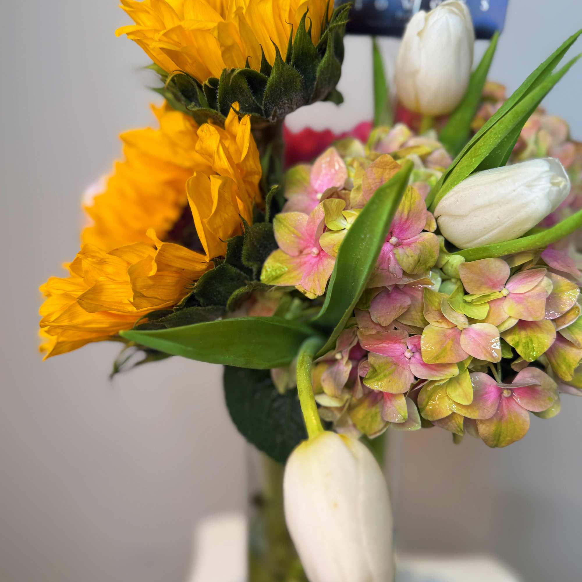 A composition where light meets elegance.
Golden sunflowers, delicate white tulips, and soft