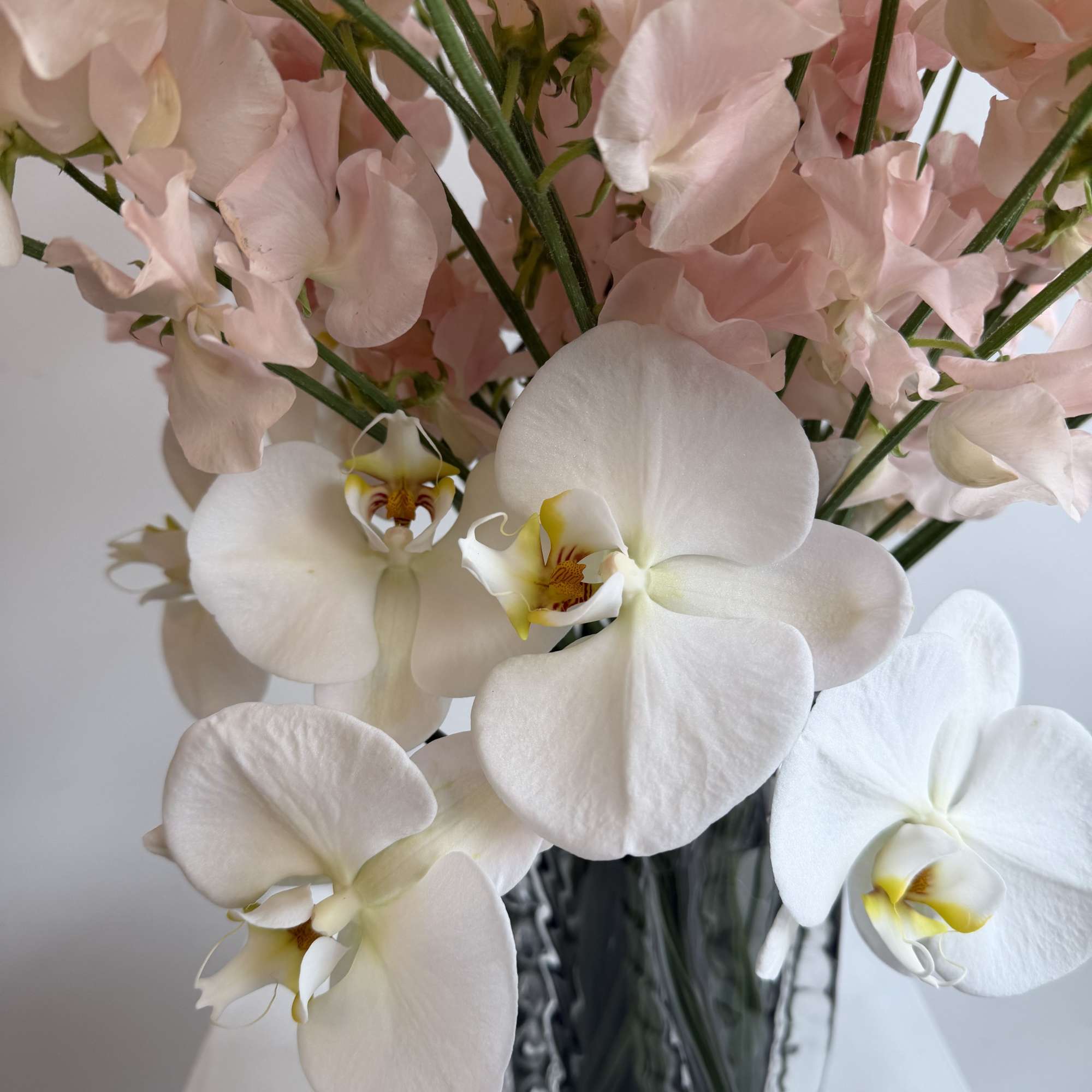 WHITE ORCHID &amp; SWEET PEA PEACH &amp; LUXURY VASE 

  