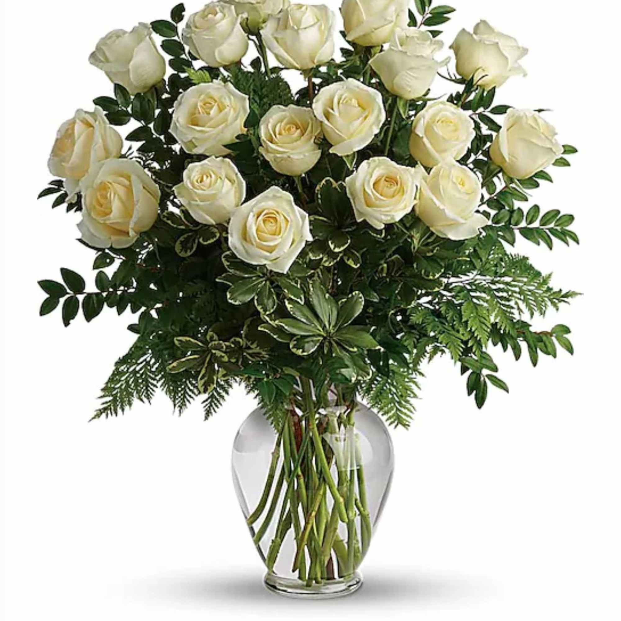 A timeless bouquet of fresh white roses, accented with lush leather leaf