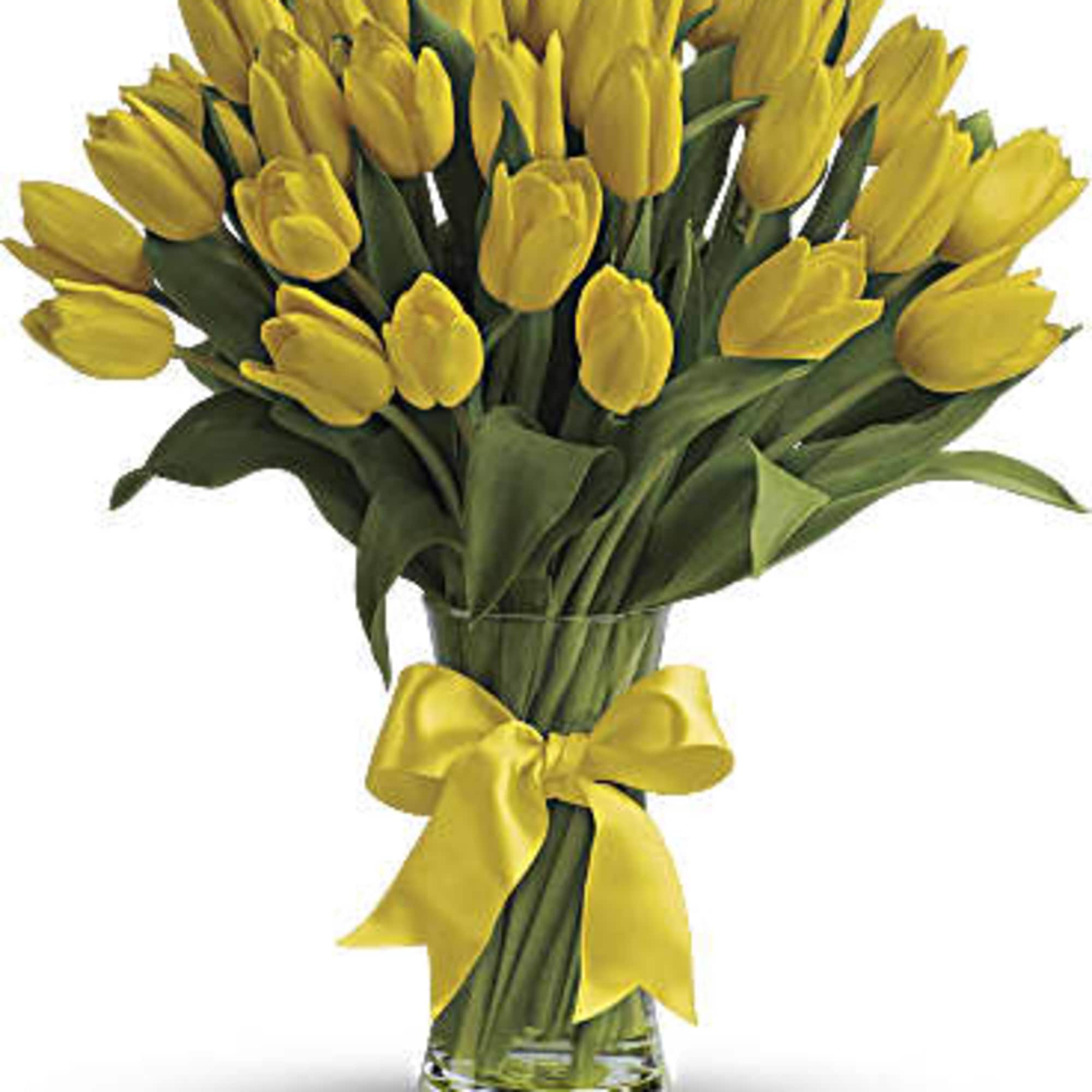 Sunny yellow tulips are a sure sign of spring. Even if the