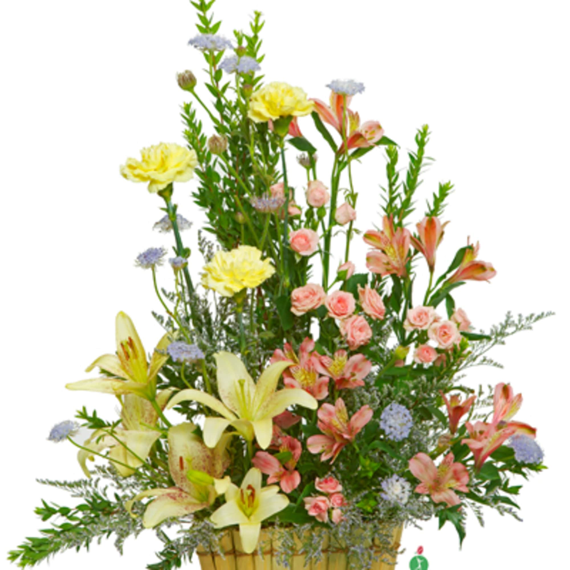 Spread a little sunshine in someone&rsquo;s life. Send them this big, beautiful