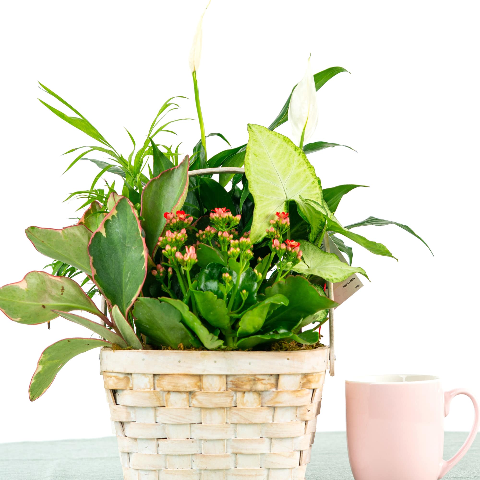 A timeless blend of easy-care green plants arranged in a stylish ceramic