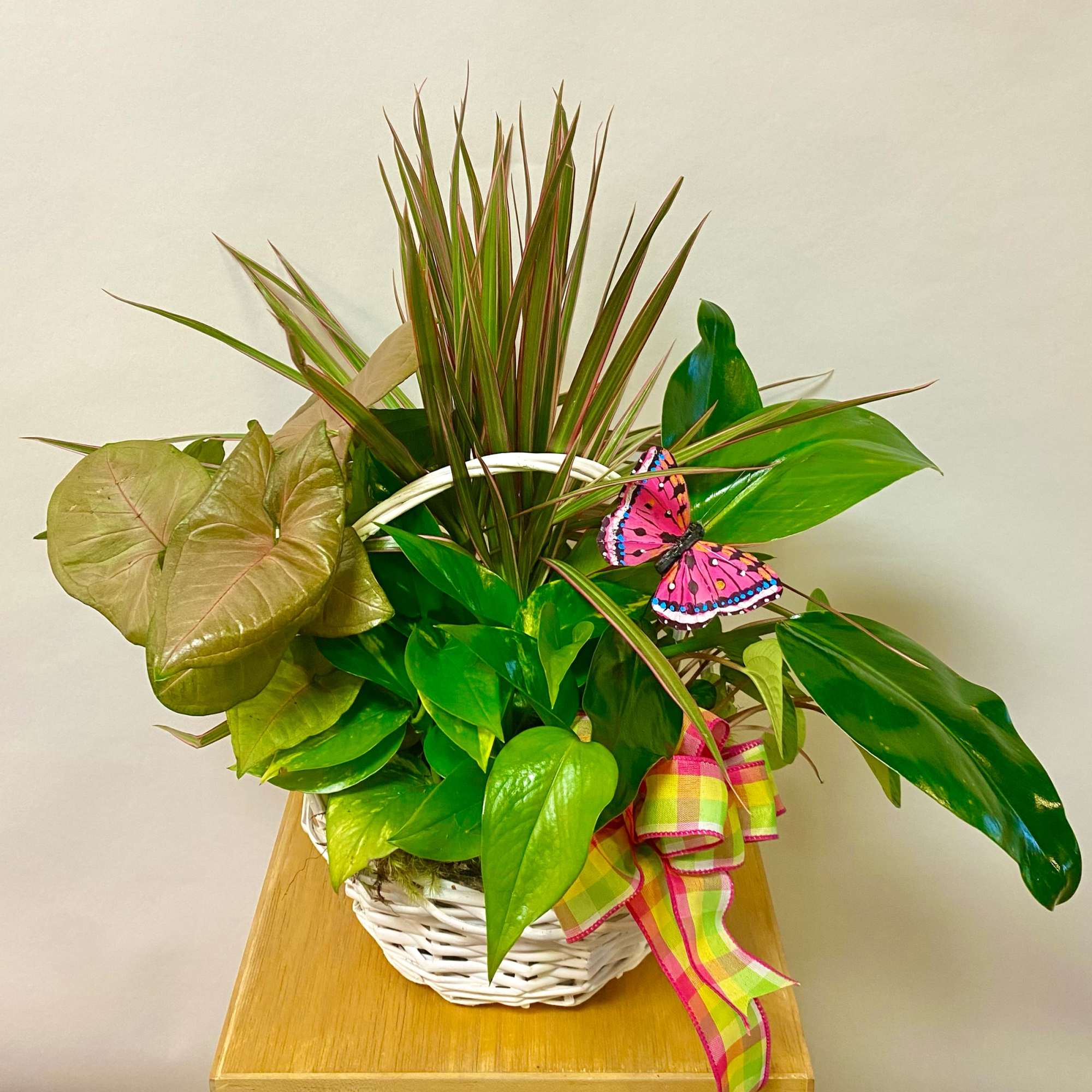 This Plant Basket Includes Green Plants, White Basket, Matching bow and Butterfly.