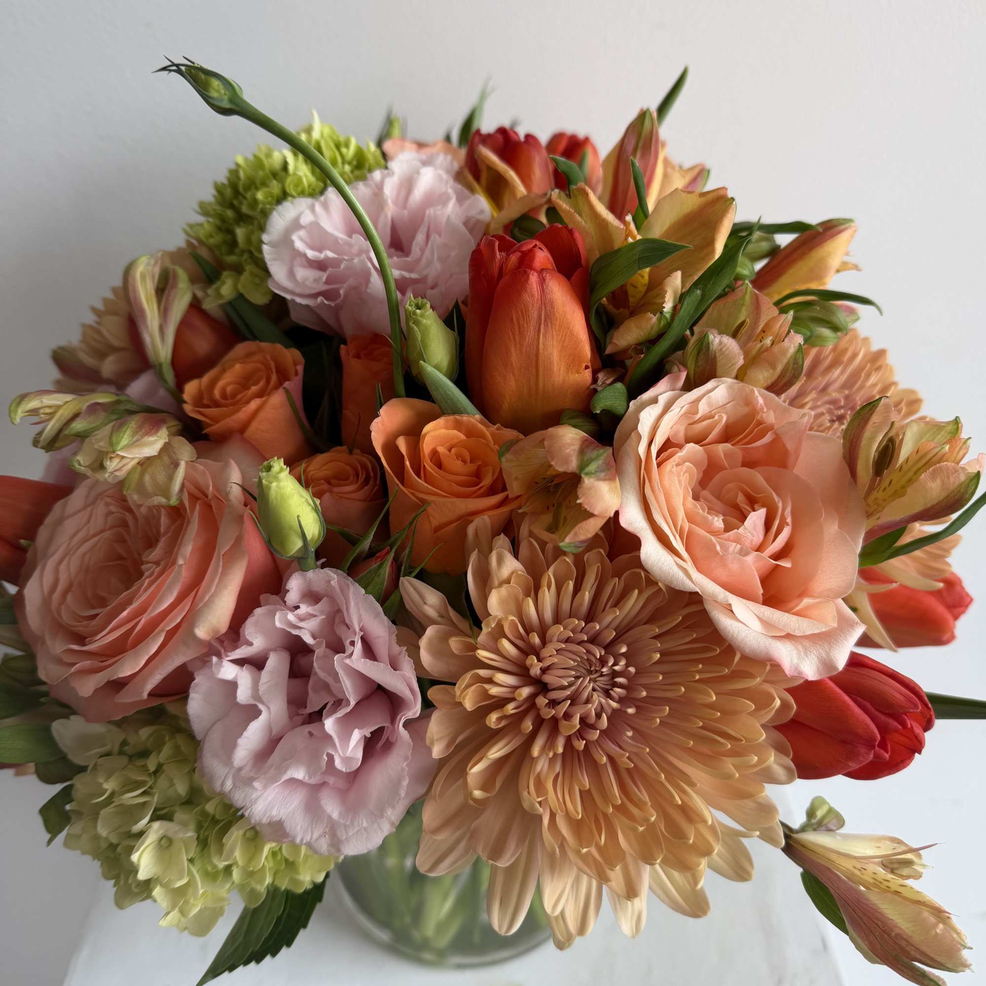 it's a fabulous floral fiesta of premium blooms that'll make your garden