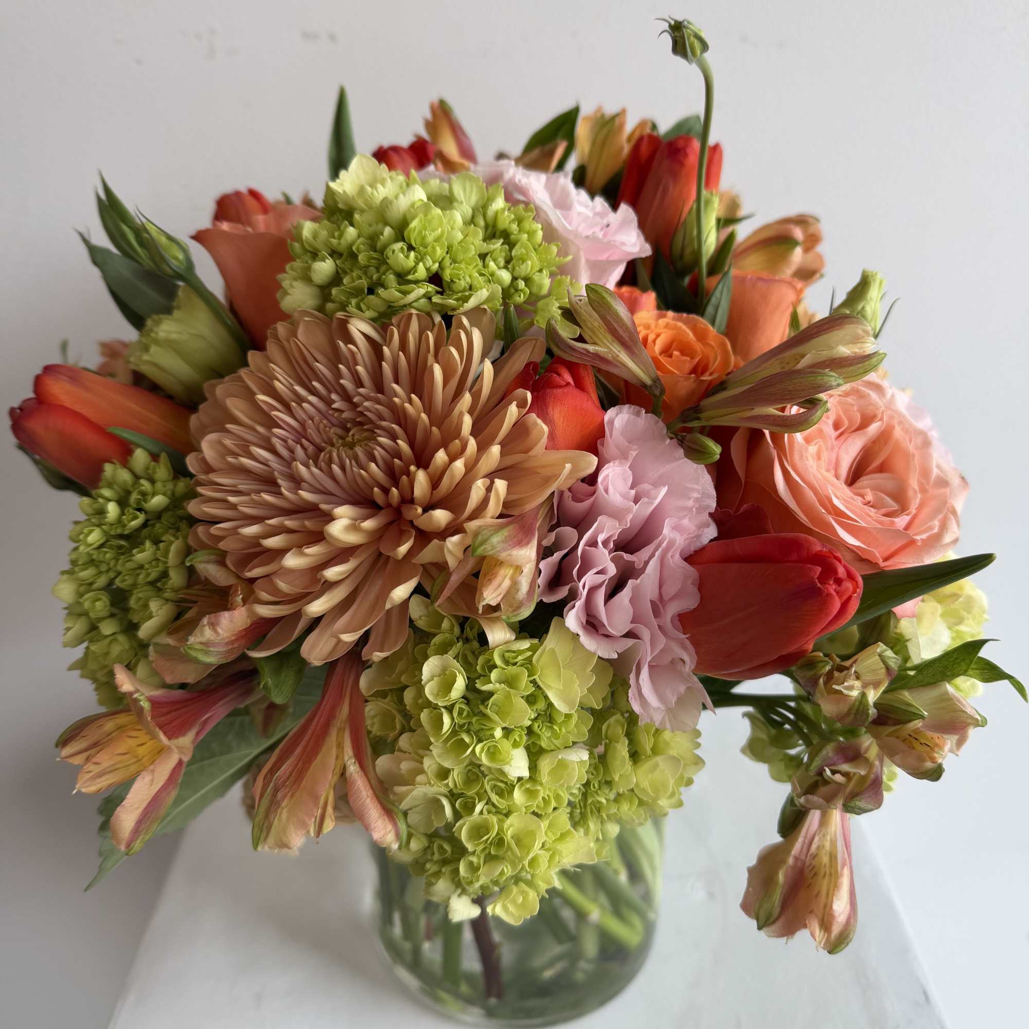 it's a fabulous floral fiesta of premium blooms that'll make your garden