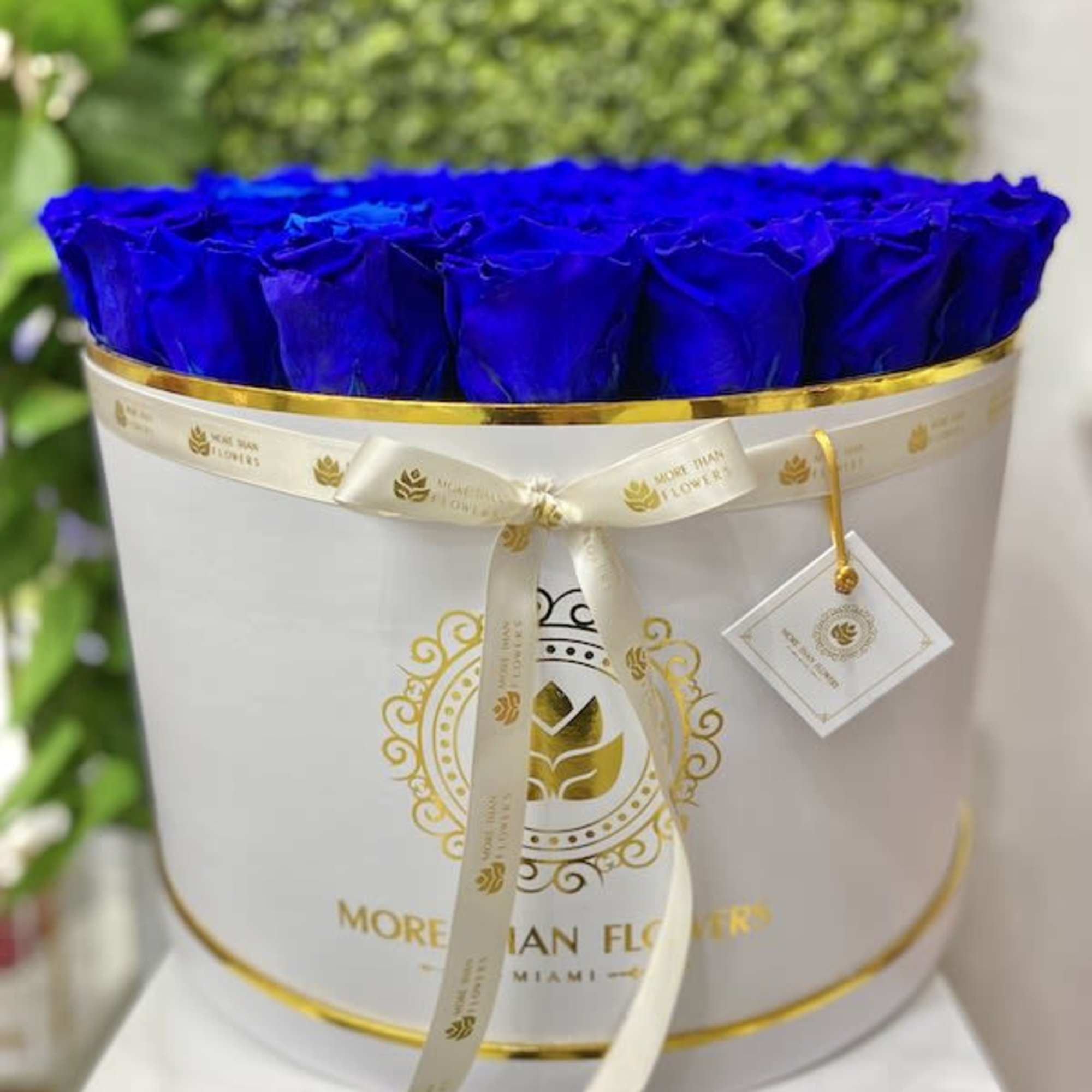 Magna Round Box Eternal Roses: We stopped the clock for our preserved