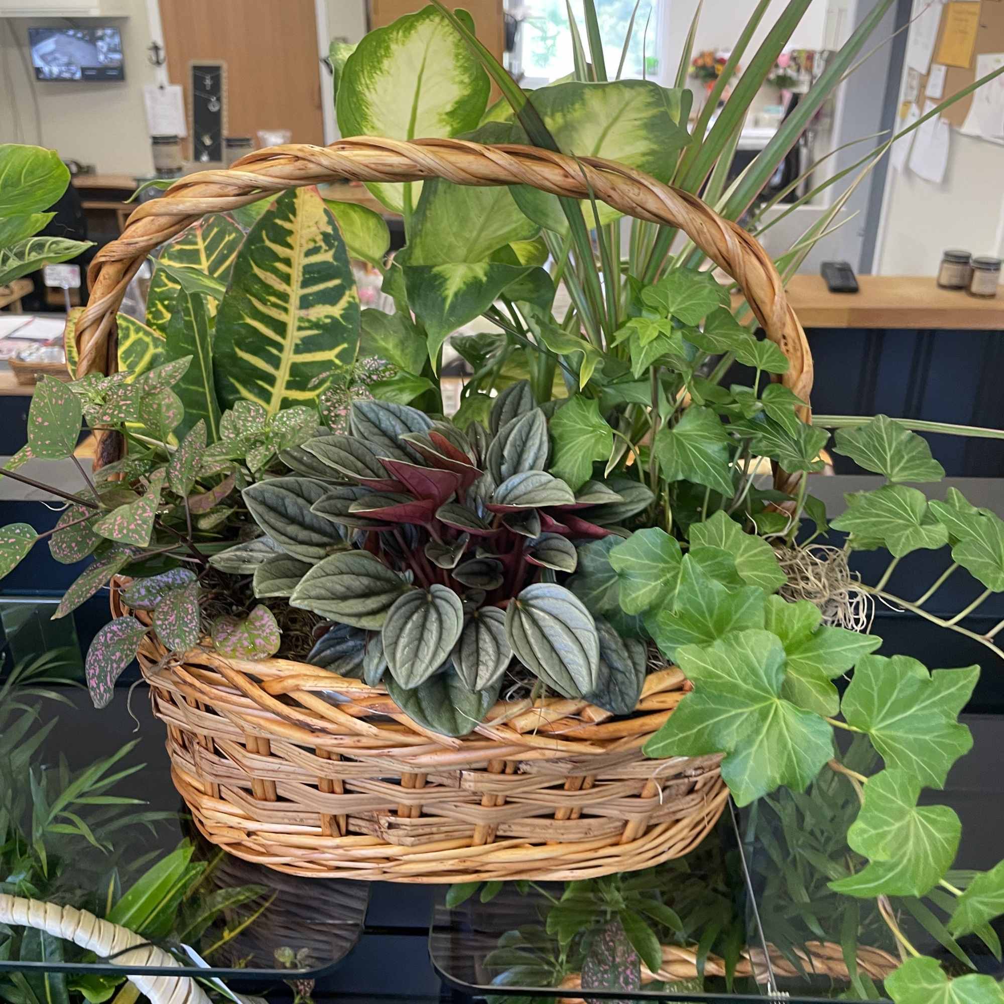 Calling all plant lovers.... our dish gardens make the perfect gift. They