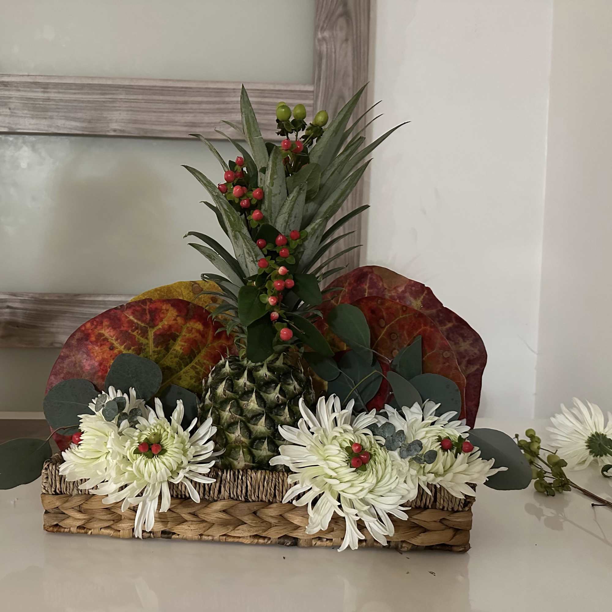 Spoiled by the visual of a Beaty and colors by the Blooms