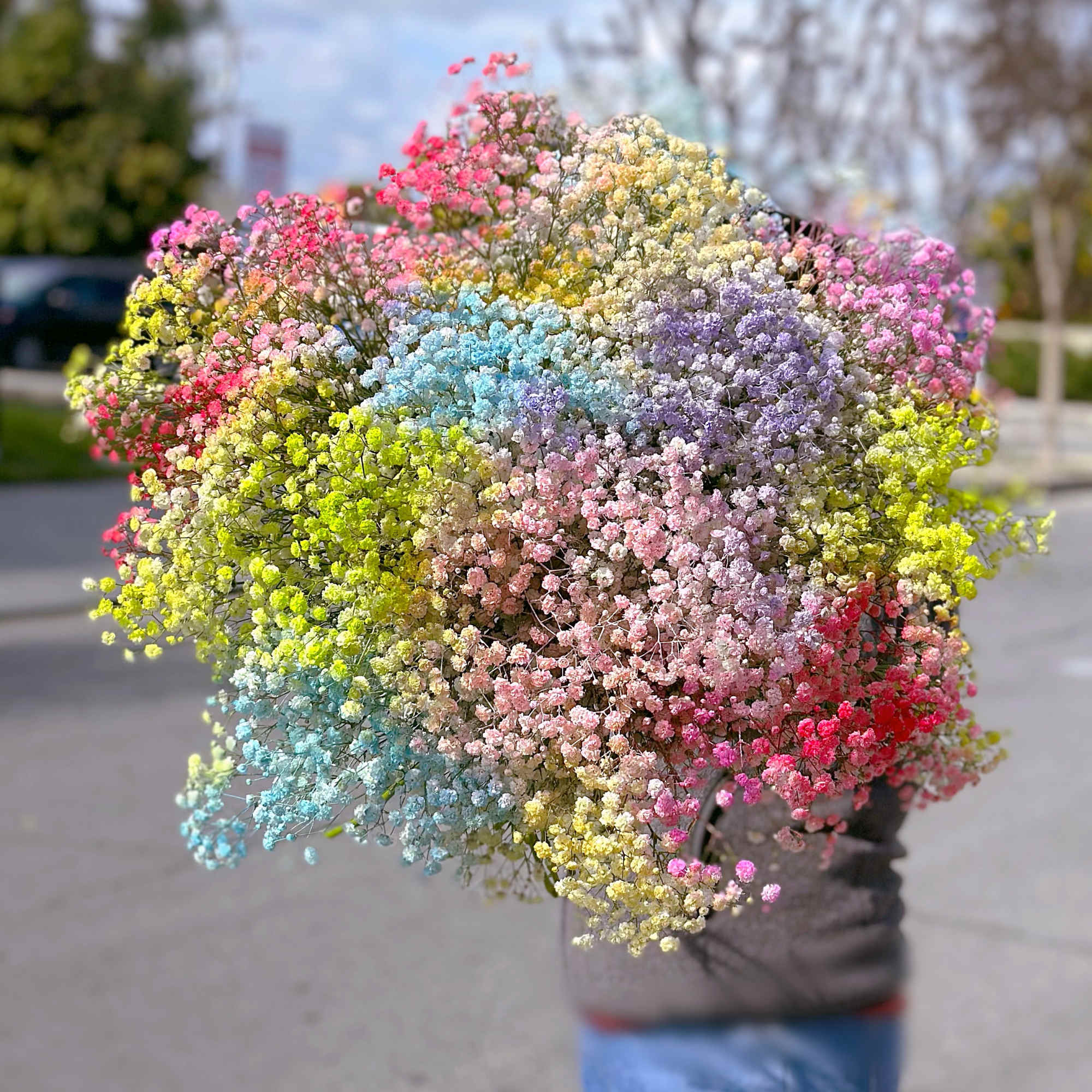 Colorful Fluffy Baby&rsquo;s breath bouquet.
Photo is at Deluxe size. Standard size is