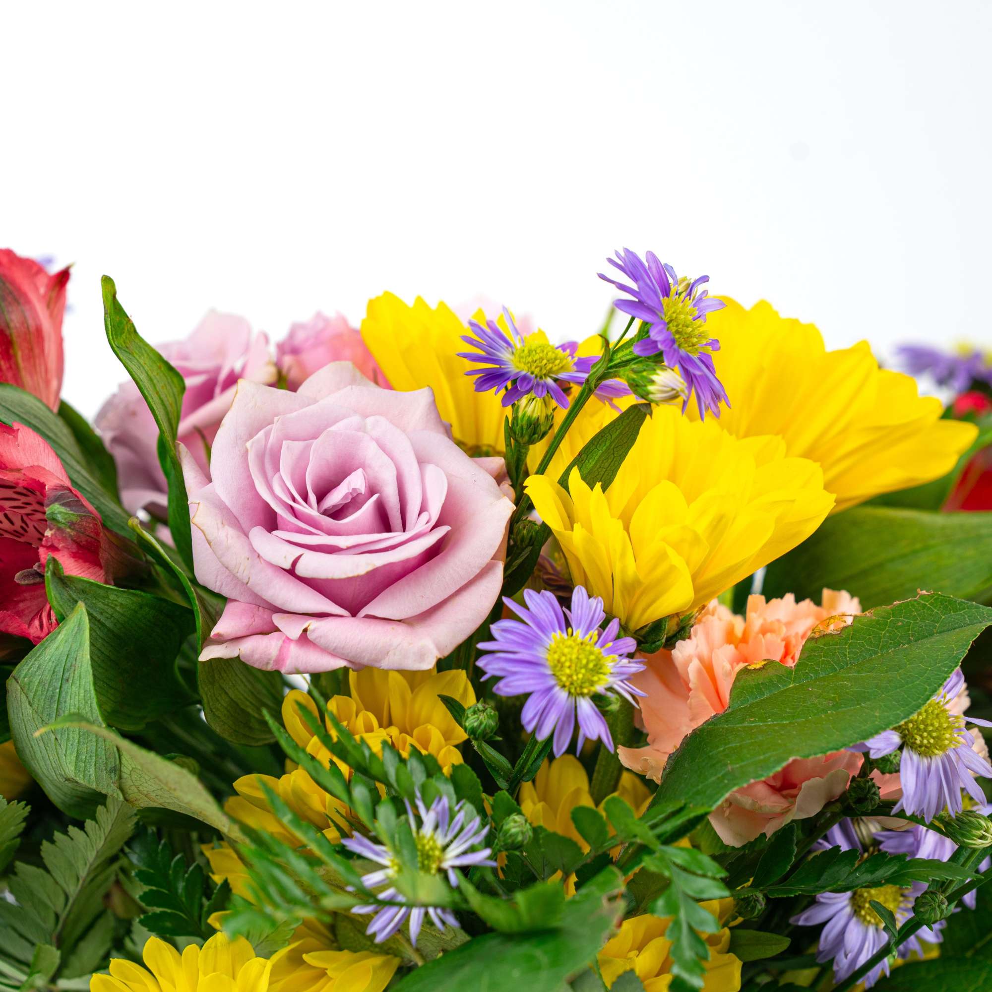 Our Blooming Birthday Wishes Collection celebrates birthdays with bright blooms in cheerful