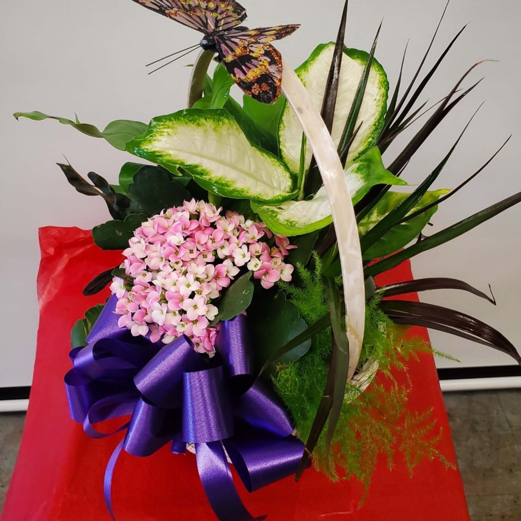 Who says you need to go outside to enjoy the natural beauty