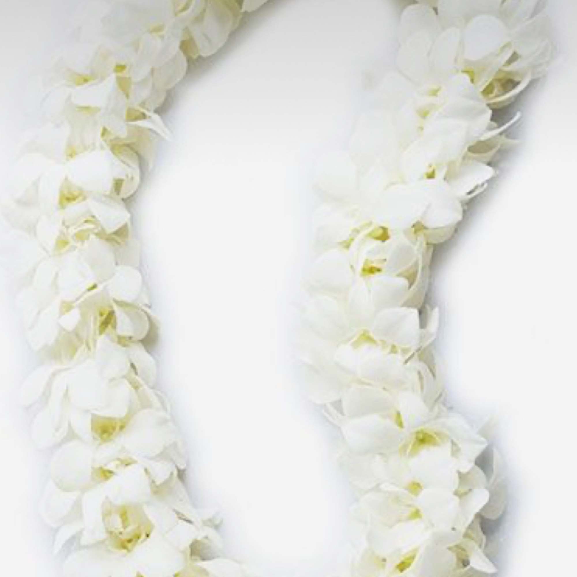 Dedicated double Orchid blossom lei.