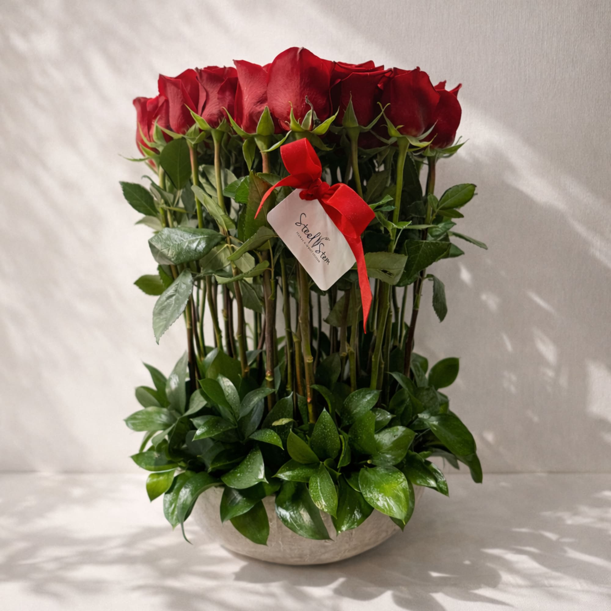 Red Reverence presents premium red roses gracefully arranged with lush, fresh greenery.
