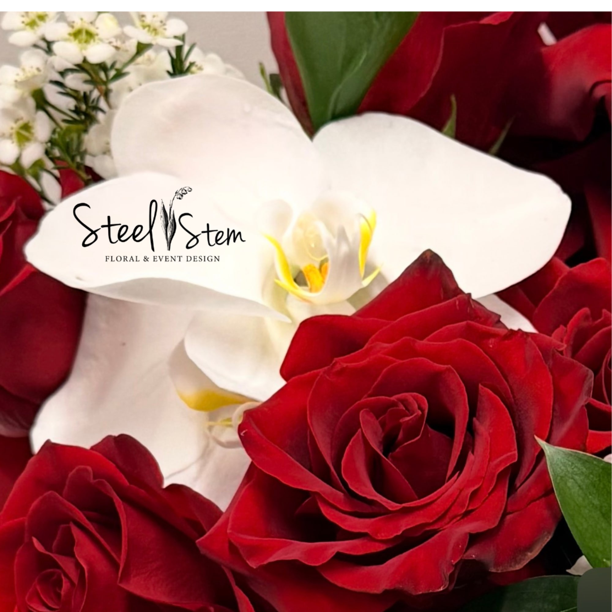 True Devotion showcases beautiful red roses paired with lovely greenery in a