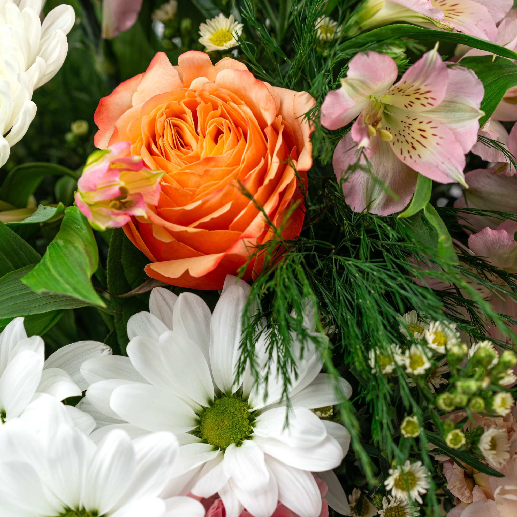 Looking for a pretty and pink way to wish someone special a