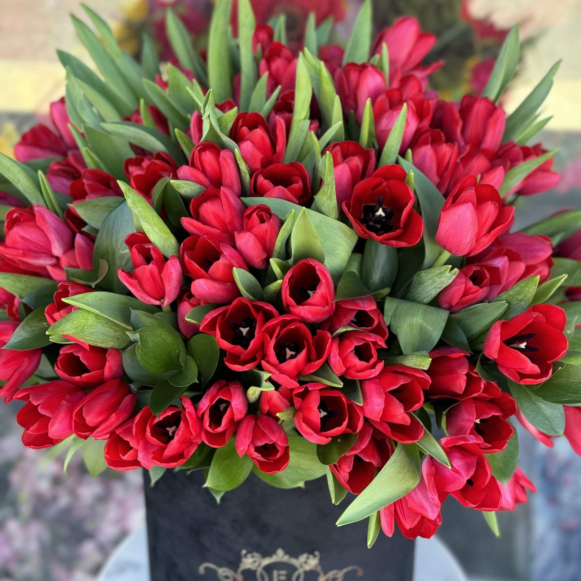 100 tulips in a velvet box