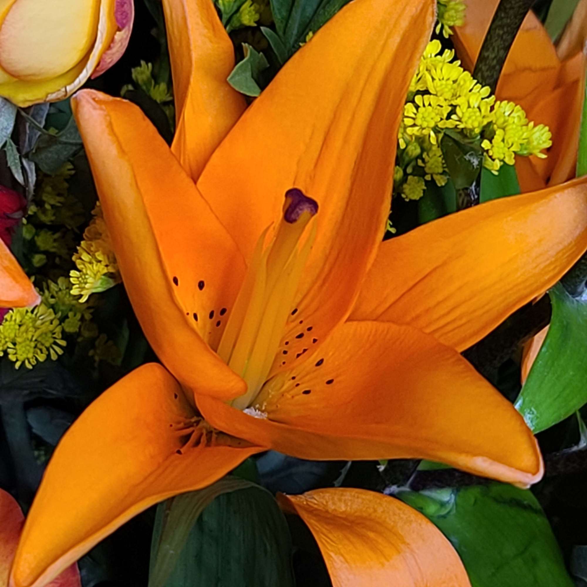 Lilies, roses, safari sunset, and other flowers.  Hues of orange colored