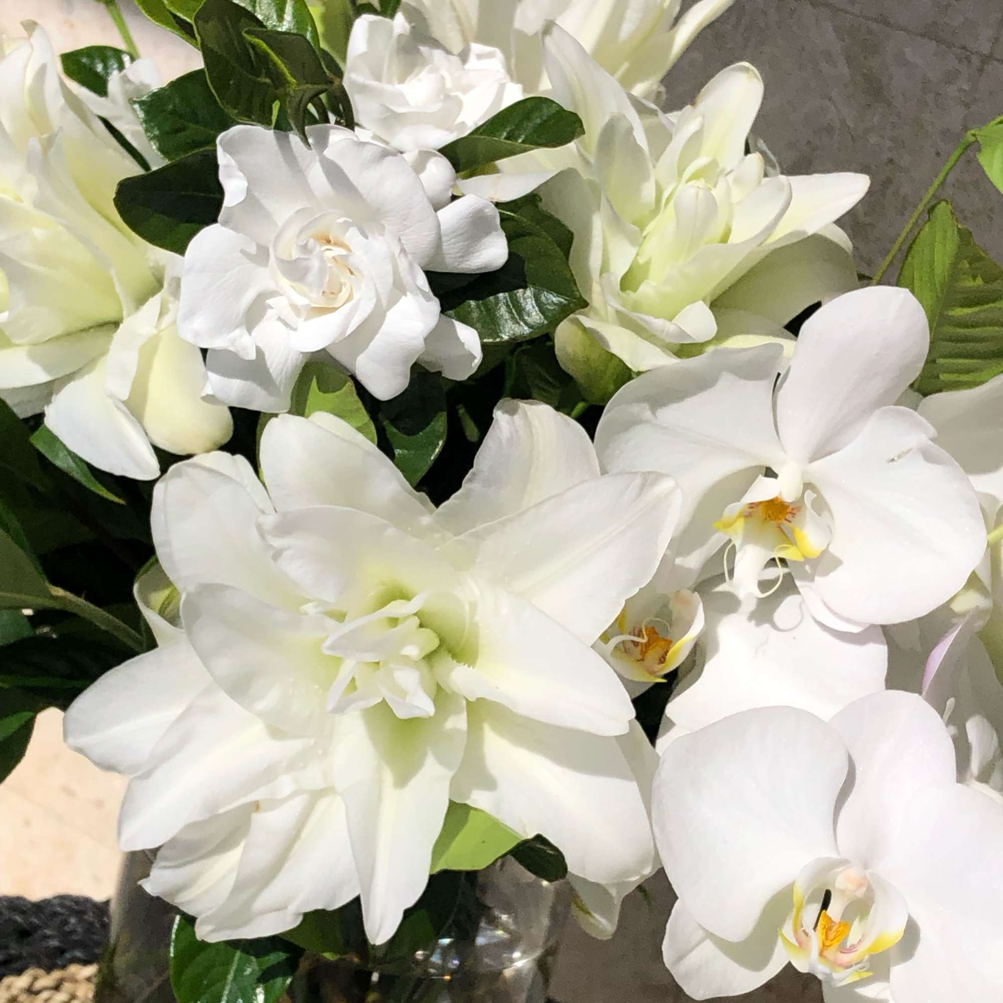 A classic for a reason. Enjoy this all white seasonal beauty filled