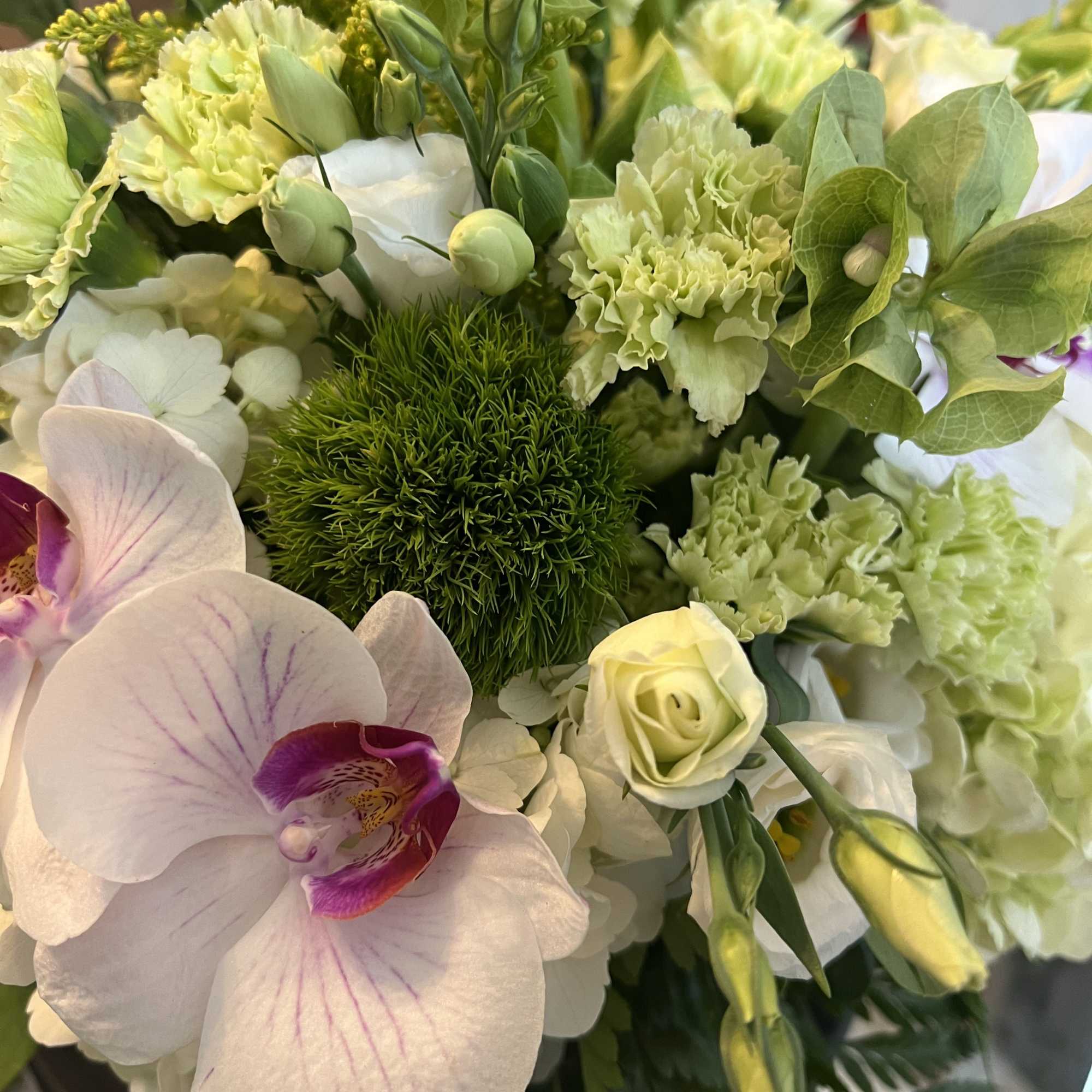 Guiness! Saint Patricks Day! The Cliffs of Moher! Keep things fresh and