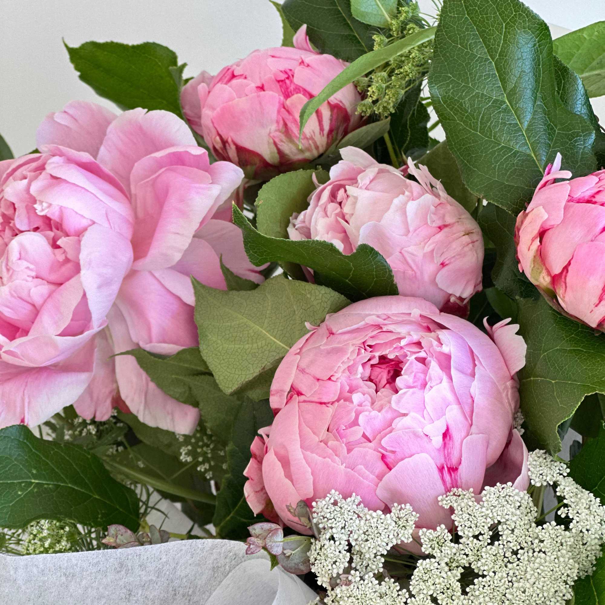 A round bouquet of peonies with plenty of greenery and fillers, wrapped