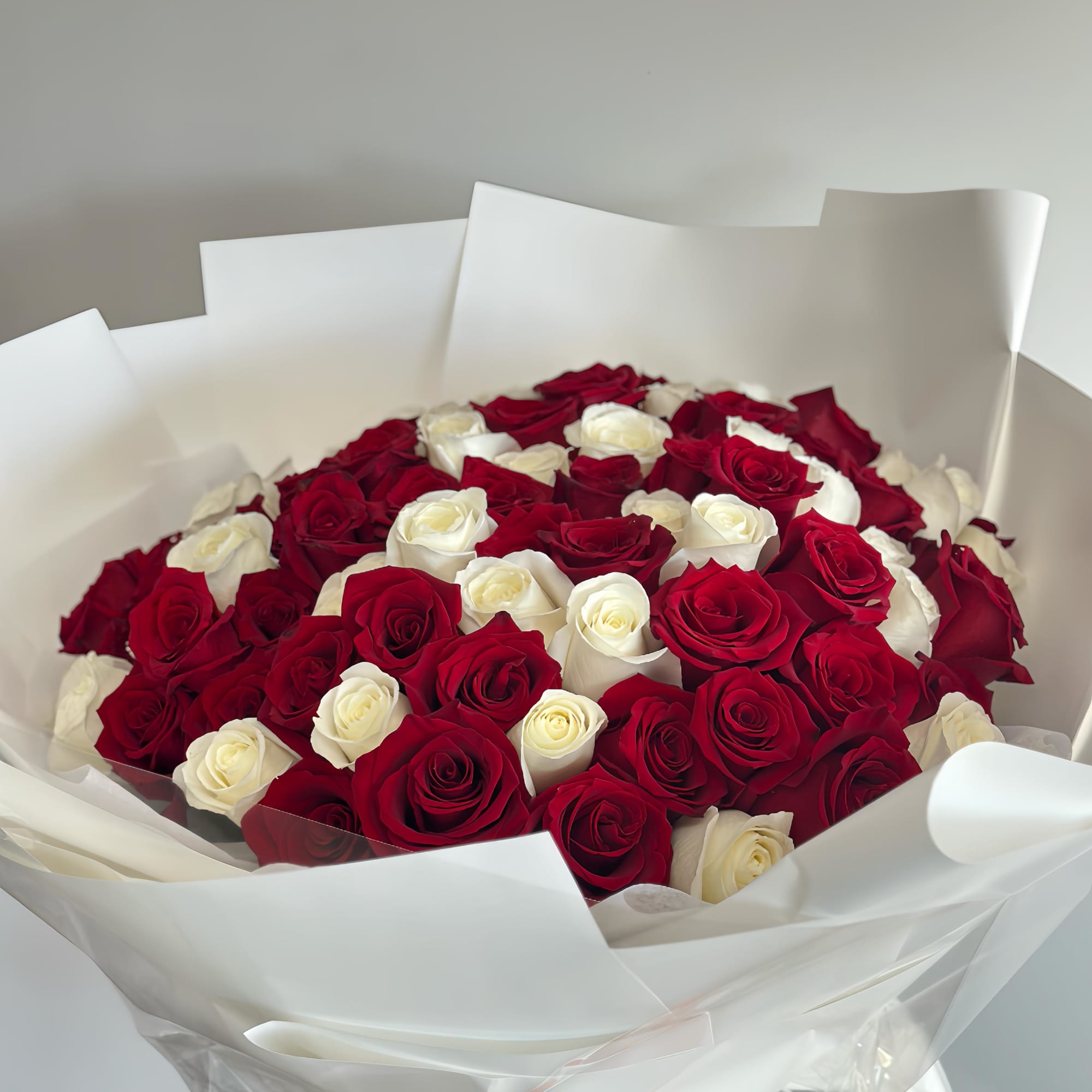 A round bouquet of 100 red and white roses, wrapped in white