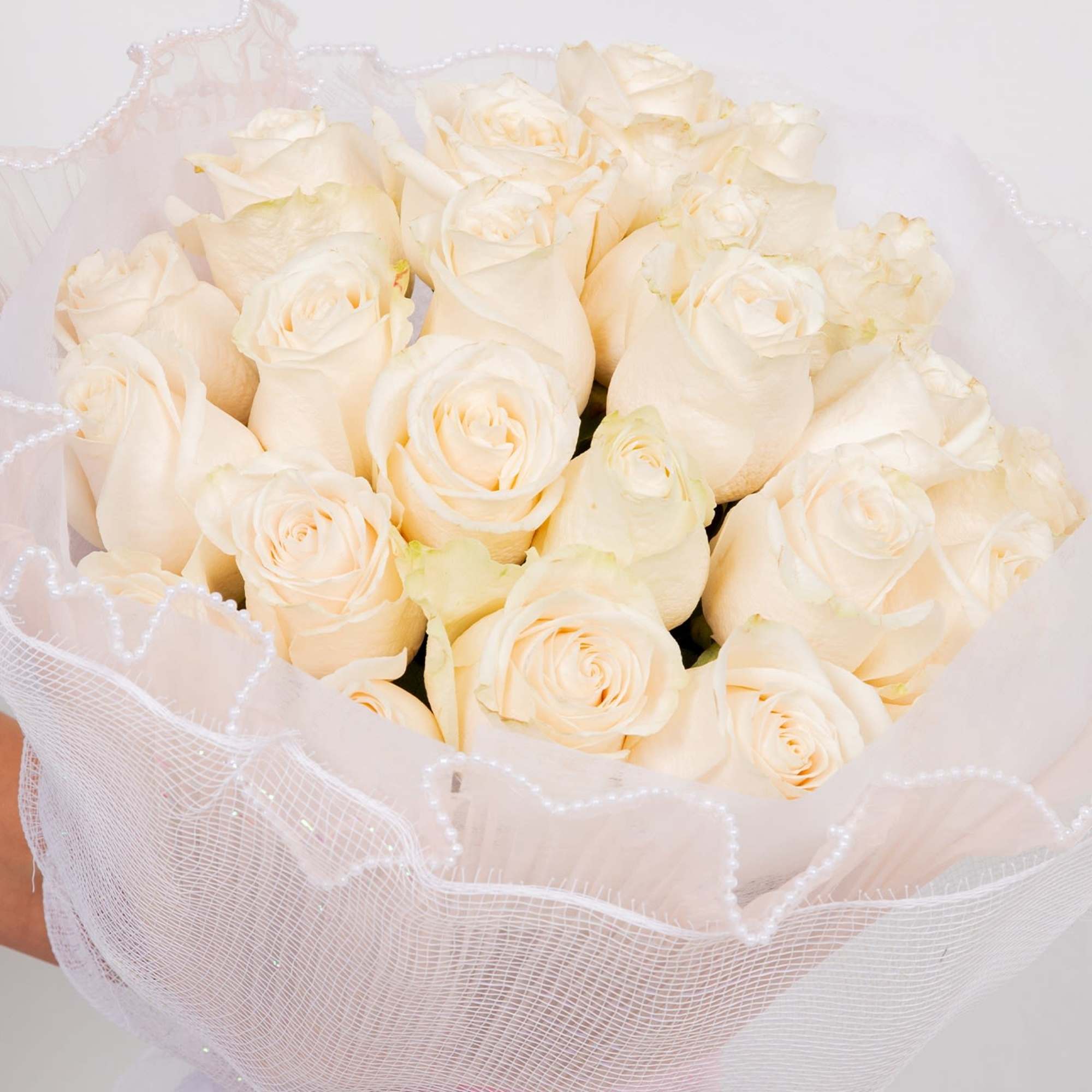 A round bouquet of two dozen roses. White mesh wrapping with a