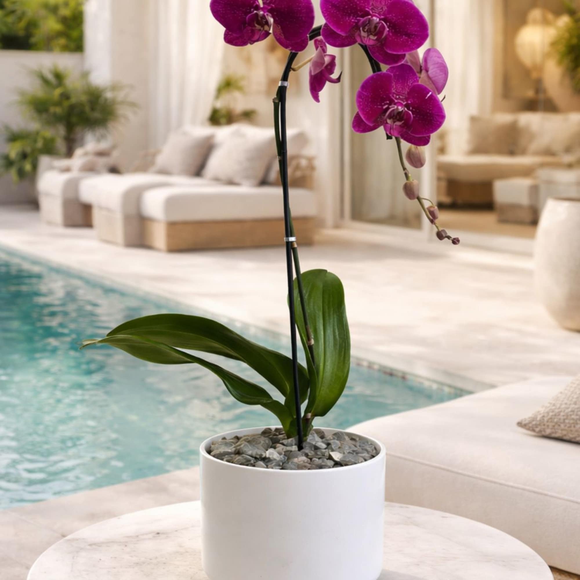 A high quality Single purple orchid arrangement with a vase 7" D