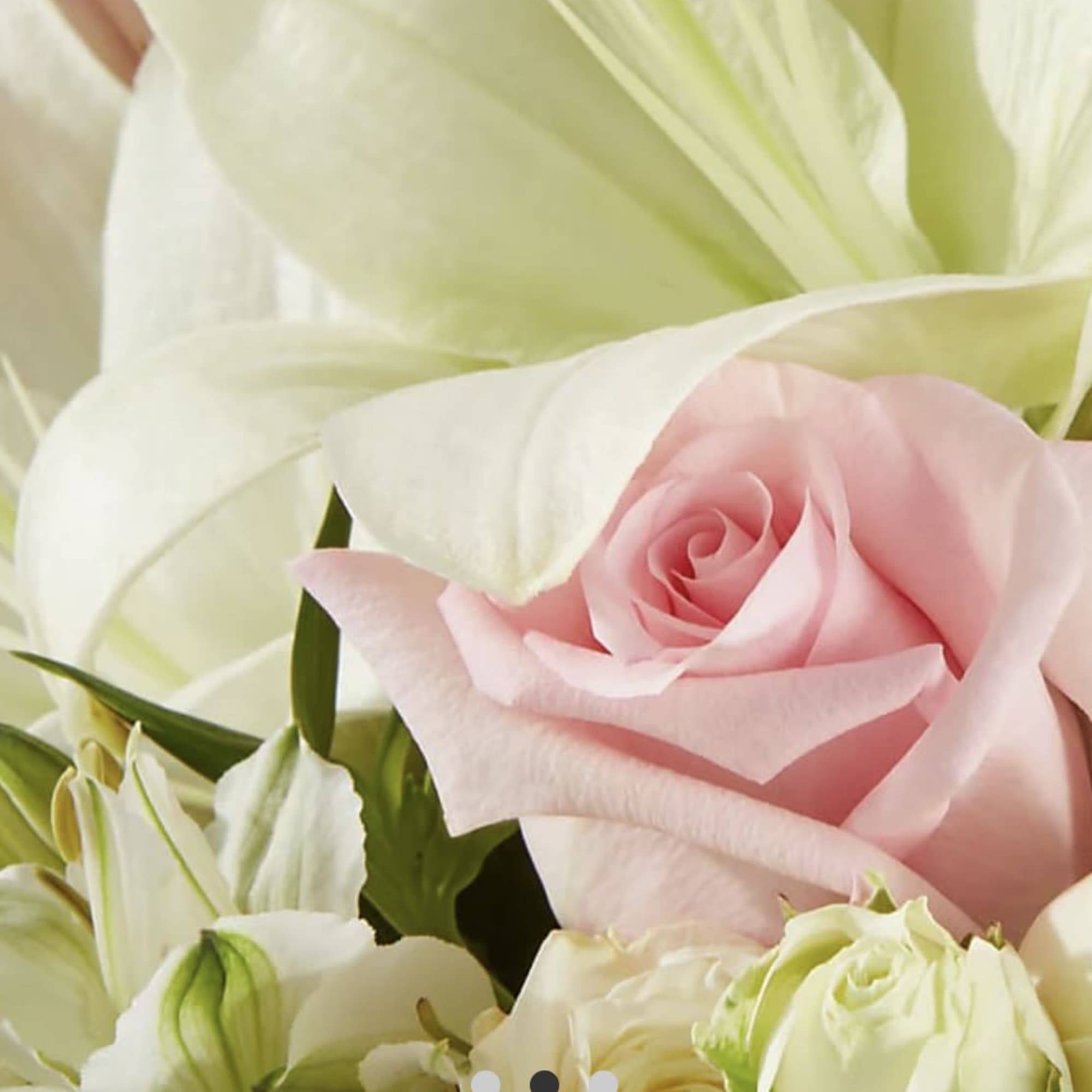 Wrap your recipient in love and warmth with this blooming bouquet


SUBSTITUTION POLICY
Always